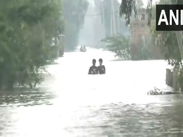 Visuals from flood affected area (Photo/ANI)
