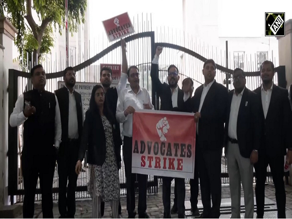 Visuals of lawyers protesting against arbitrary notification issued by the Lieutenant Governor of Delhi (File Photo/ANI)