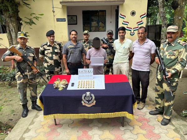BSF South Bengal Frontier with the seized gold biscuits (Photo/BSF)