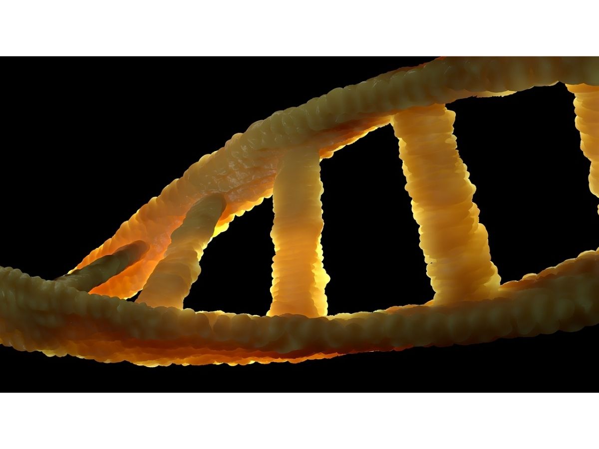 Stem Cell Therapy in Bangkok: A New Frontier for Regenerative Medicine