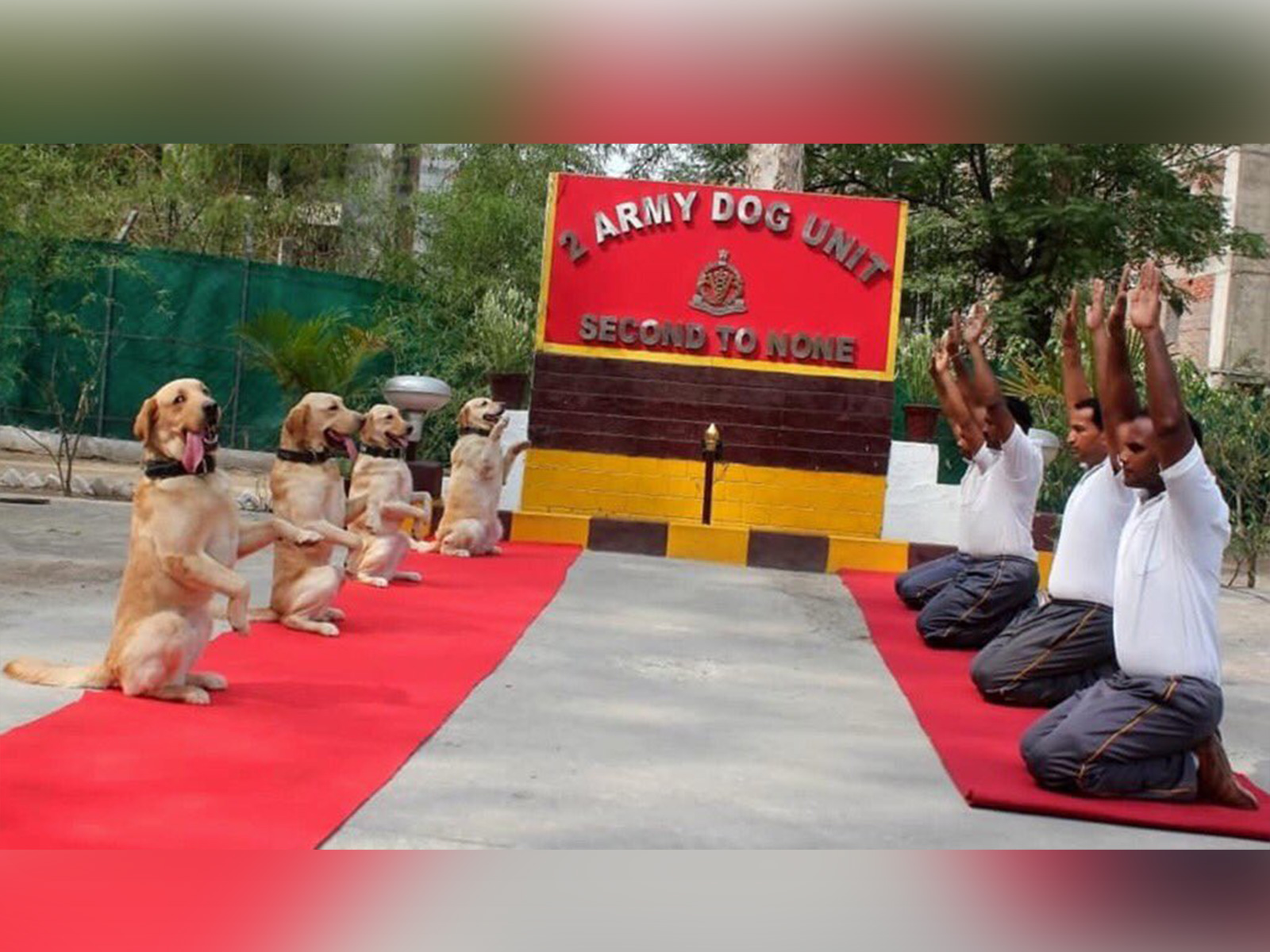 Representative image (File Photo/ ANI)