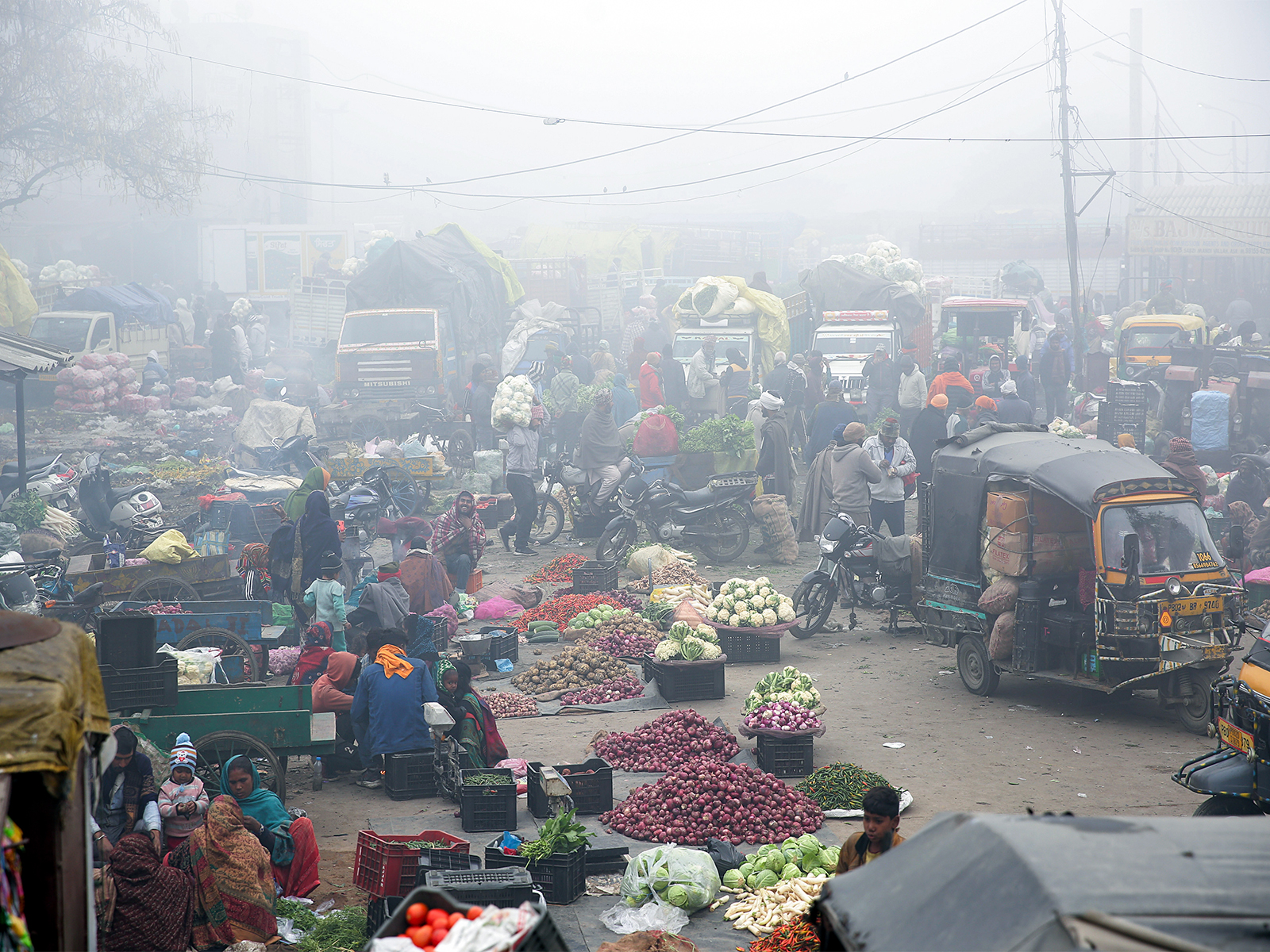 Representative Image (ANI File Photo)
