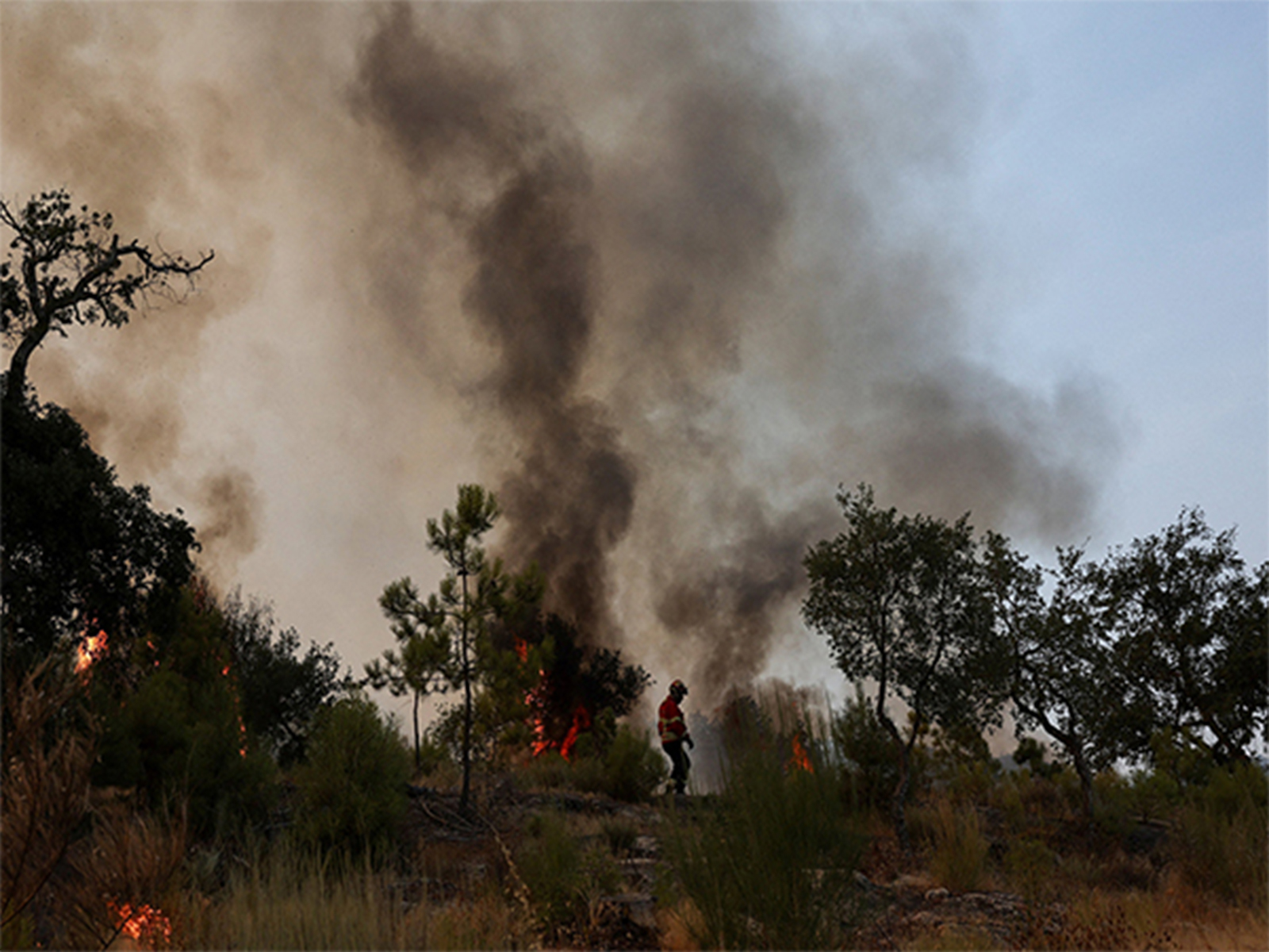 A firefighter battles flames amid burning trees and shrubs during a wildfire in Castelo Novo, Fundão, Portugal (File Photo/Reuters)