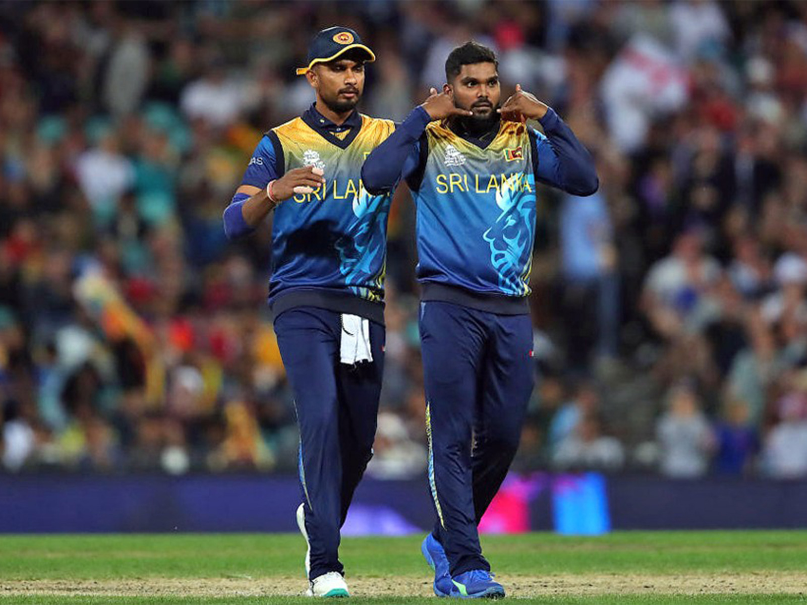 Wanindu Hasaranga celebrating (Photo/ANI) 
