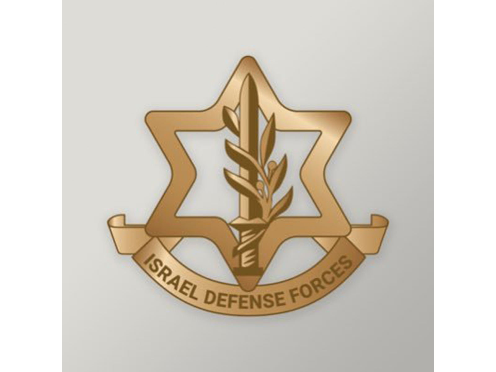 Representative Image (Photo/ X@IDF)