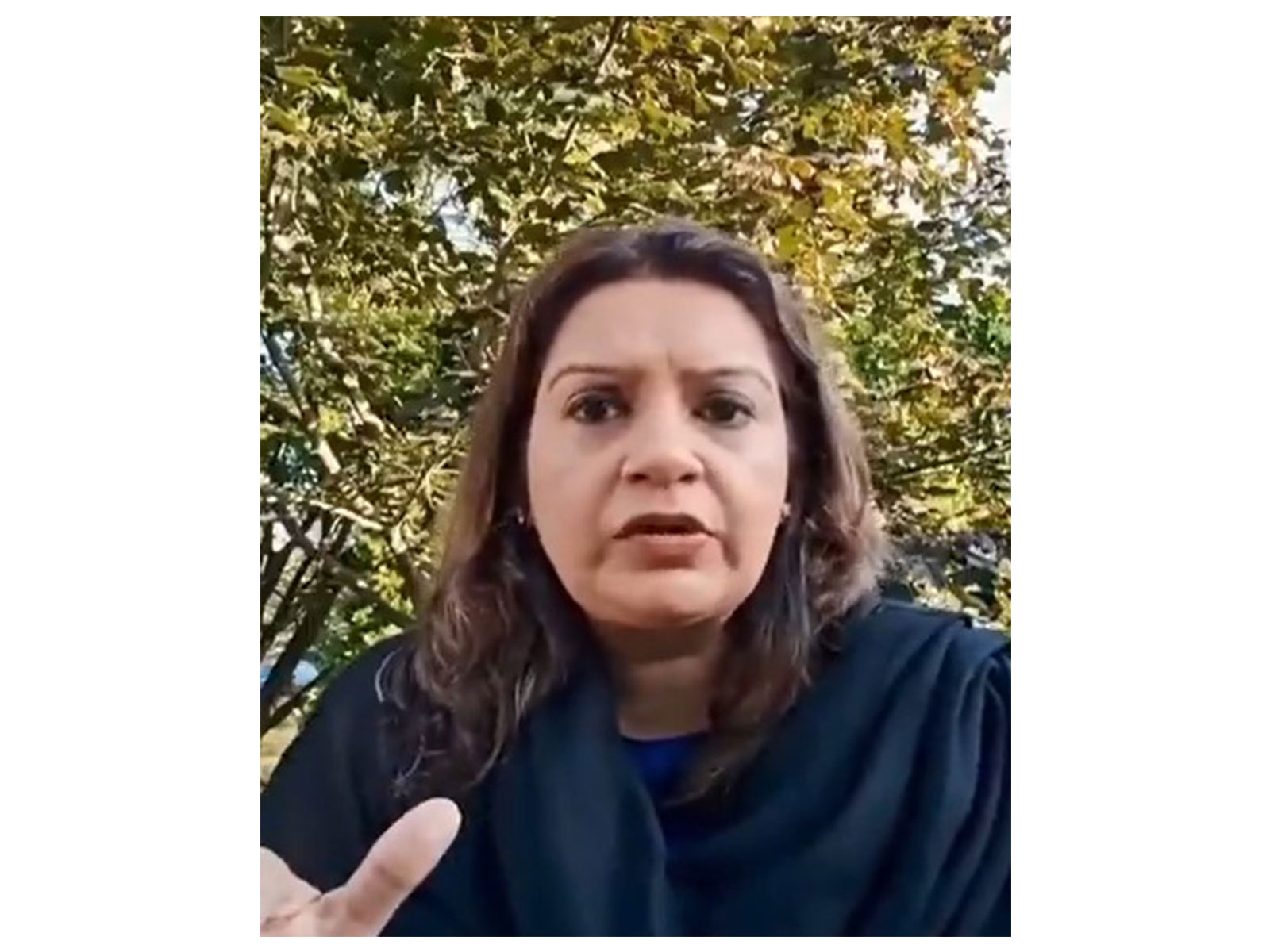  Shiv Sena (UBT) MP Priyanka Chaturvedi  (Photo/X@ShivsenaUBTComm)