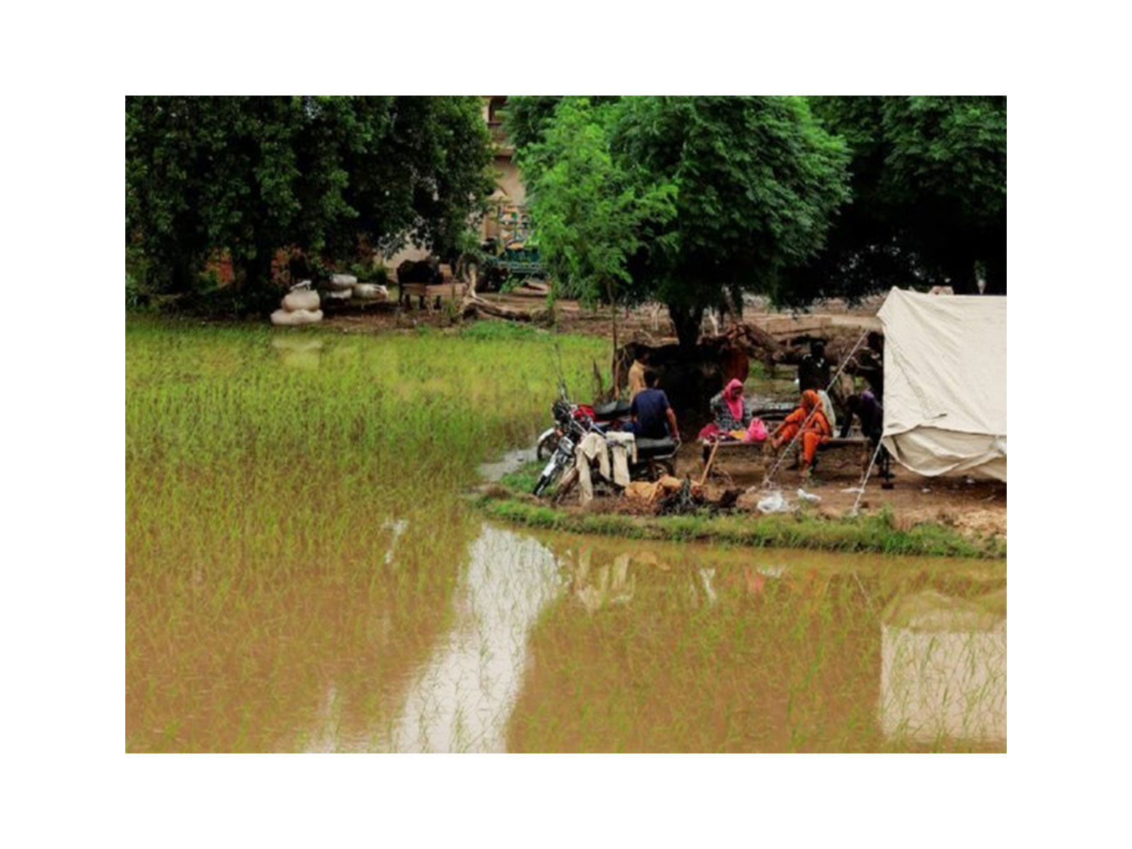 Earlier visuals of floods in Pakistan (File Photo/Reuters)