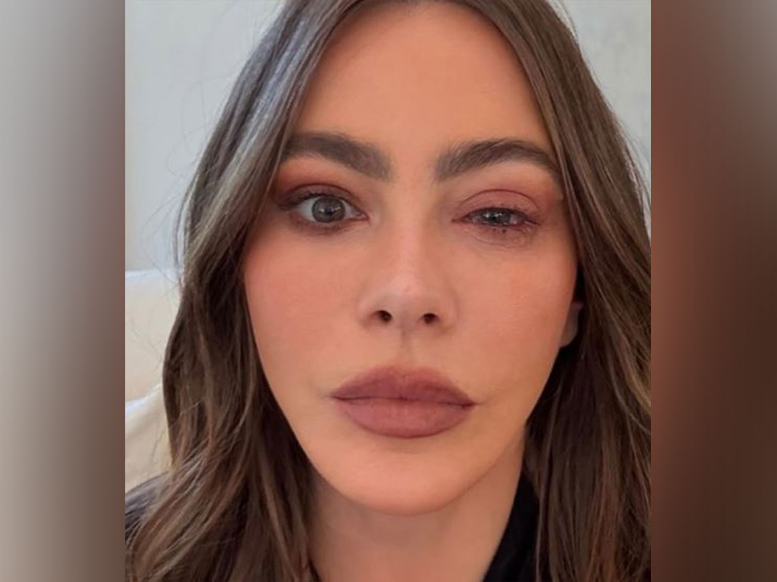 Actor Sofia Vergara (Image source: Instagram@sofiavergara)
