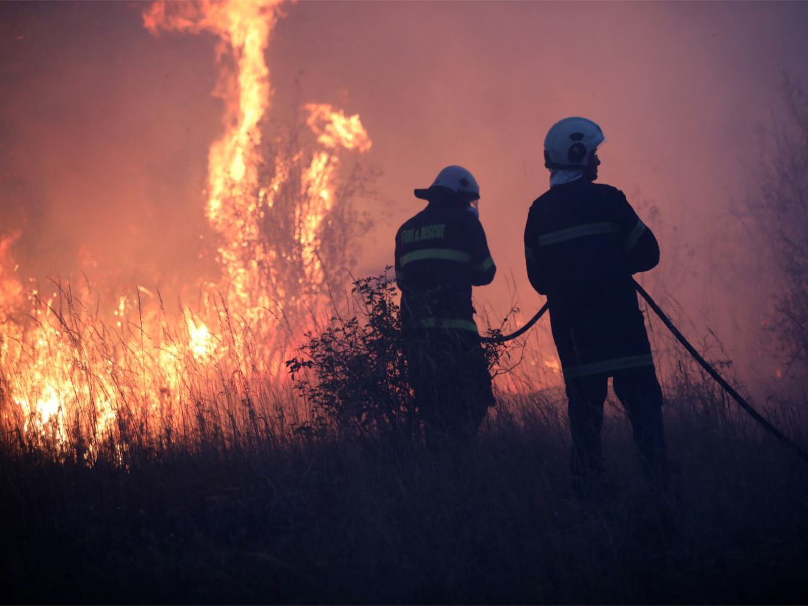Wildfires rage across Bulgaria (Photo/Reuters)