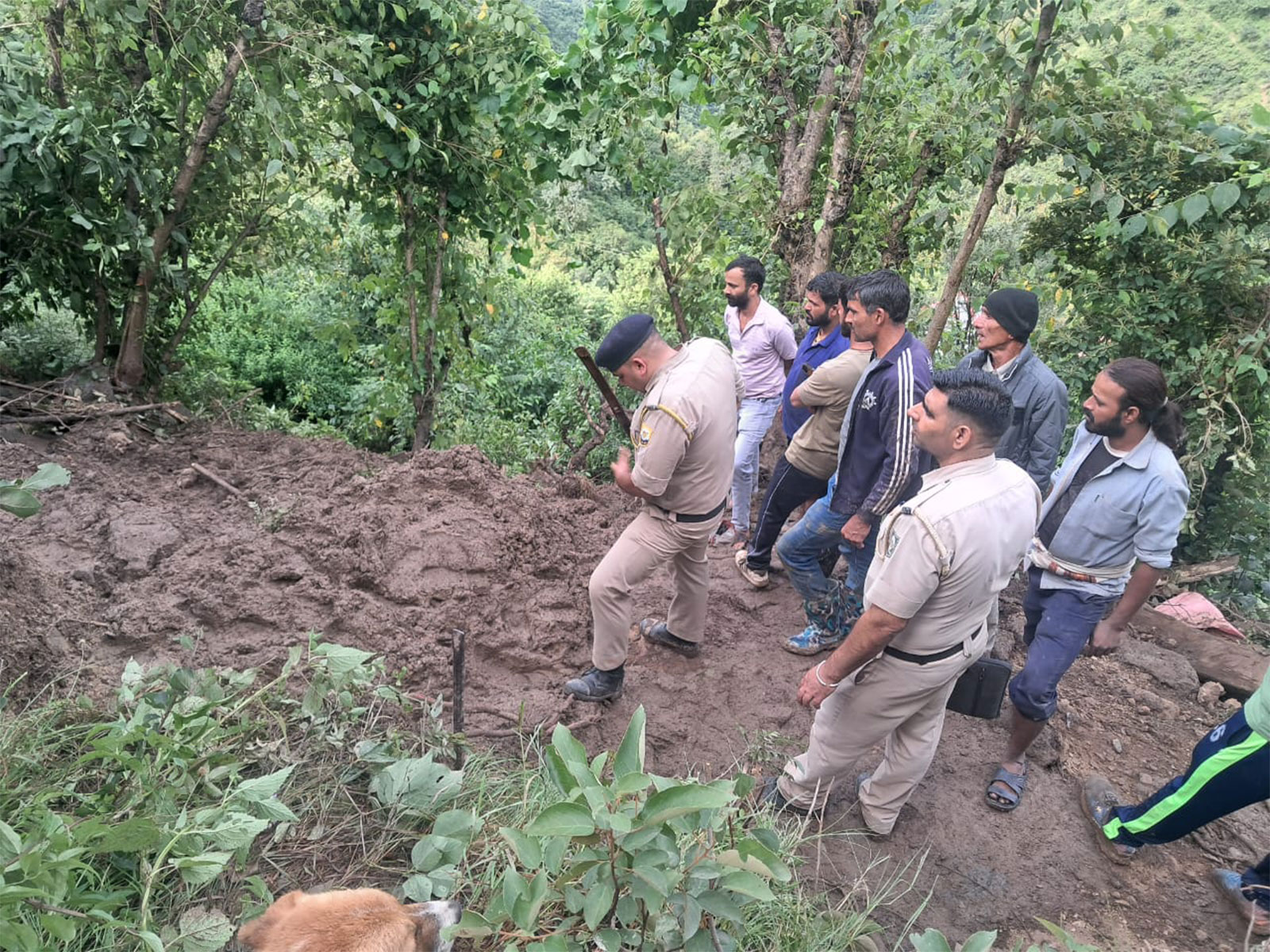 Rescue operation underway in Mandi (Photo/ANI)
