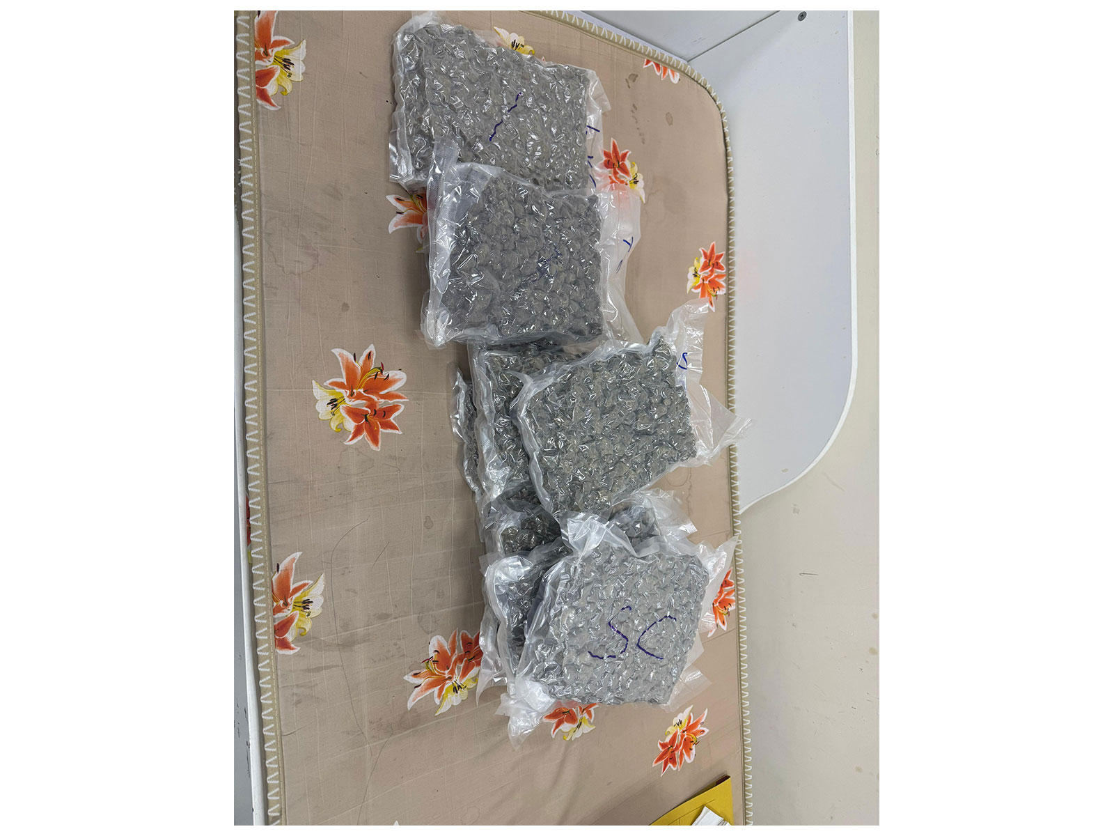 Visuals of the seized substances (Photo/DRI)