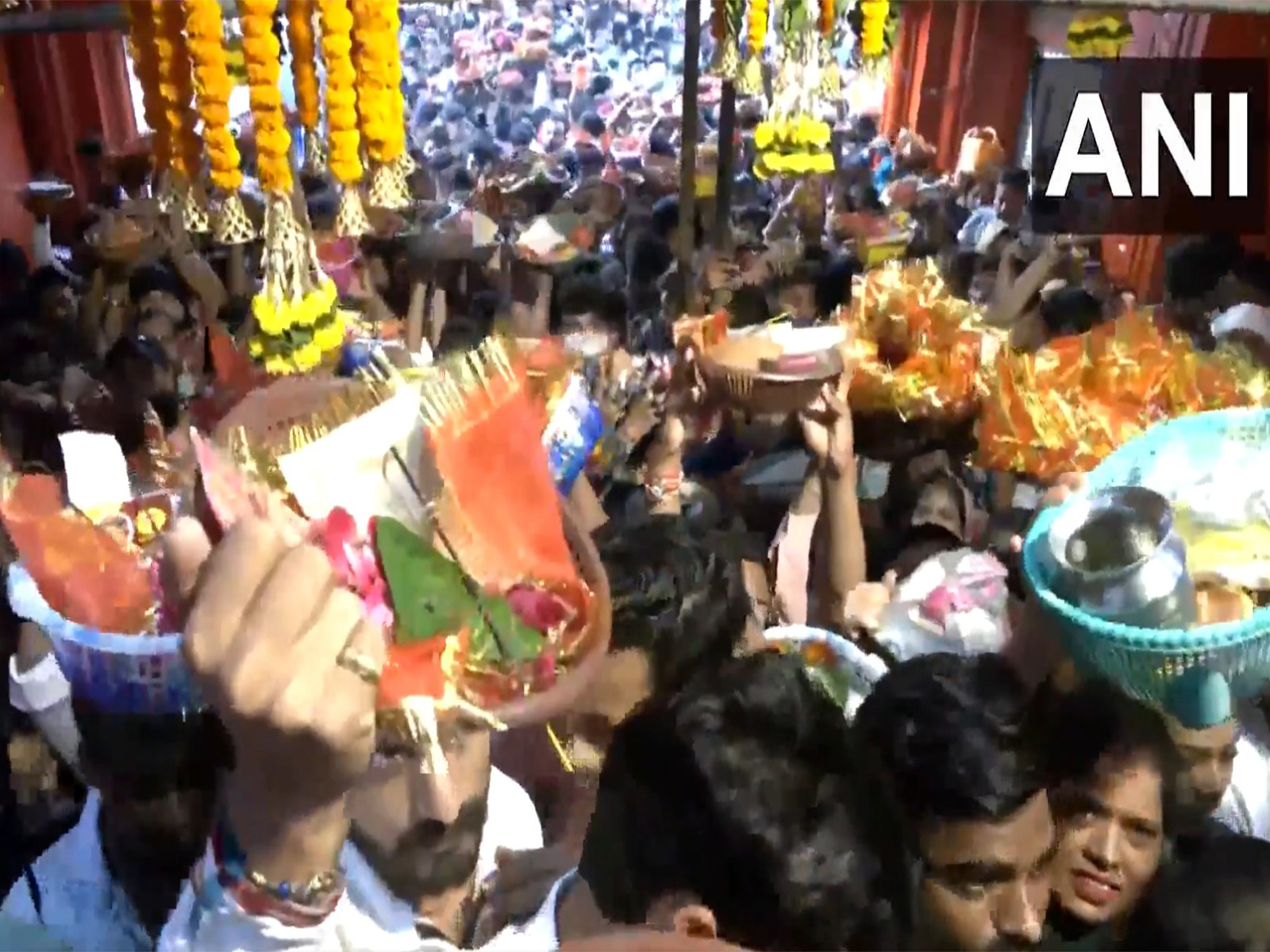 Kali Mata Temple in Moradabad witnesses devotees' huge gathering on Sharadiya Navratri (Photo/ANI)