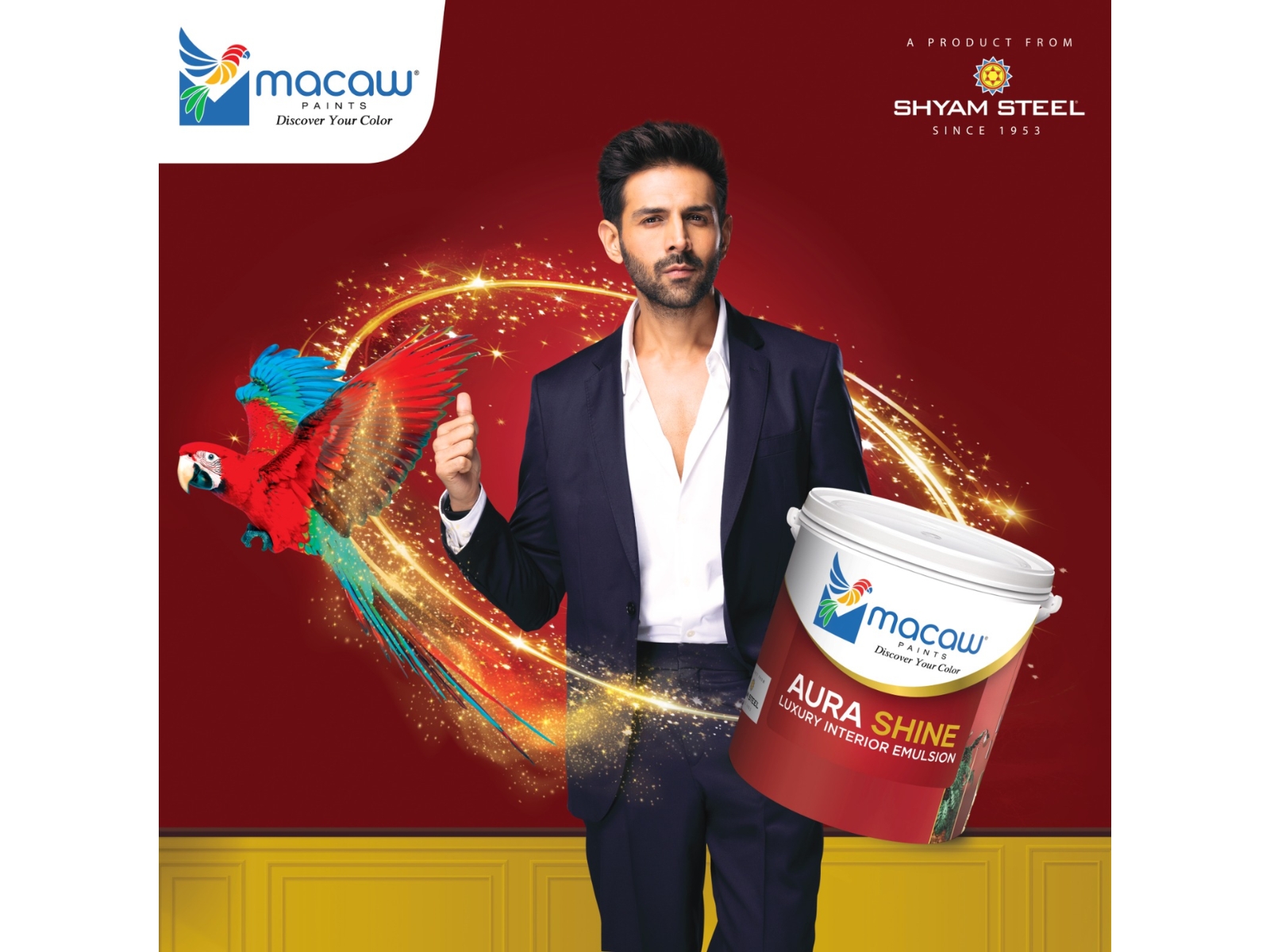 Shyam Steel Launches Macaw Paints with Bollywood's Heartthrob Kartik Aaryan as Brand Ambassador