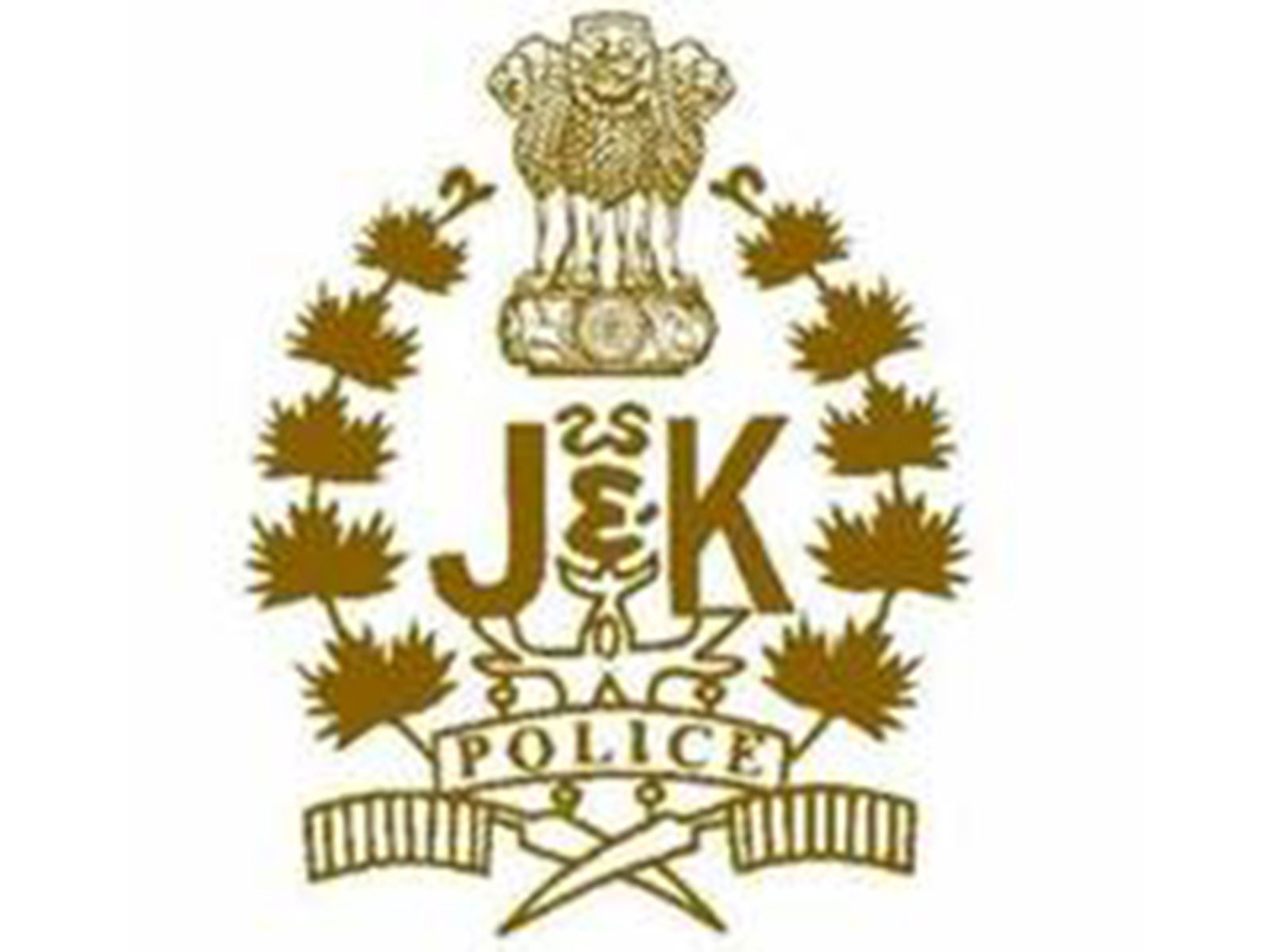 Representative Image (Photo/ Jammu and Kashmir Police)