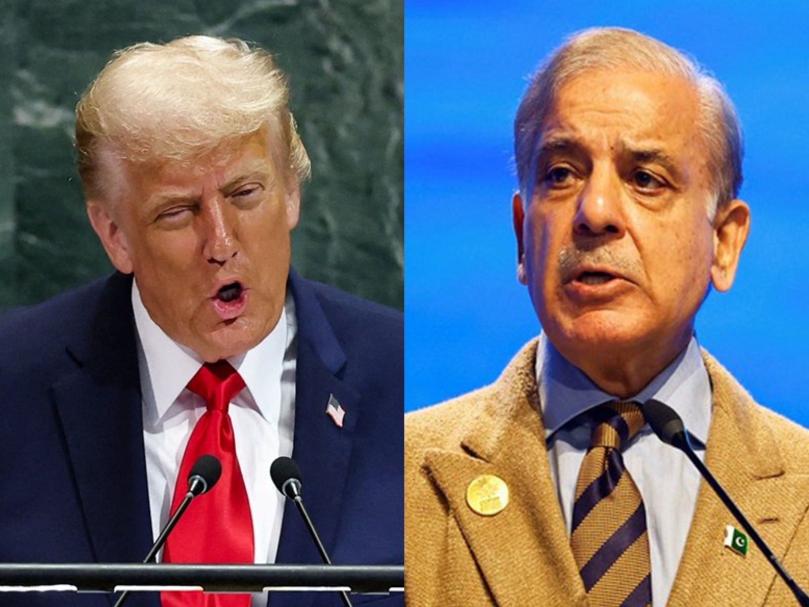 US President Donald Trump (L), Pakistan's Prime Minister Shehbaz Sharif (R) (File Photo/Reuters)