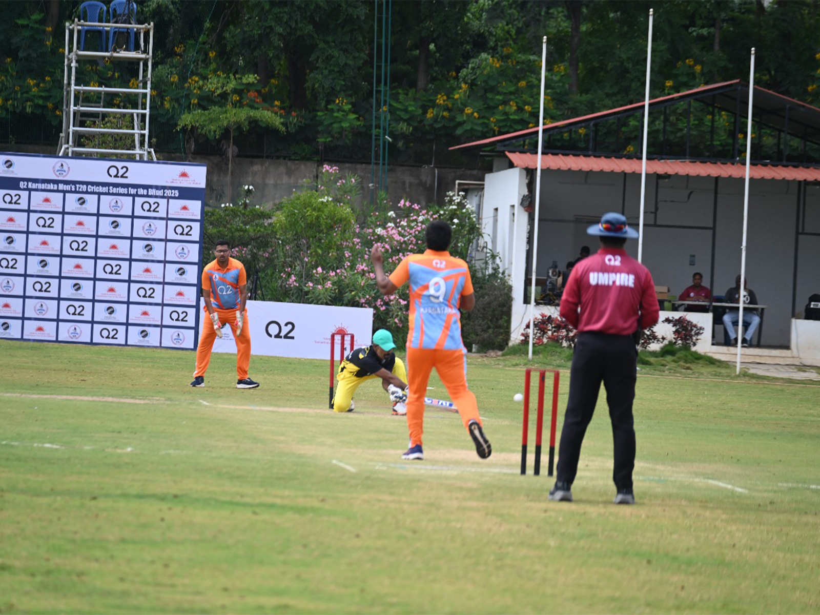 Cricket action (Photo: CABI)