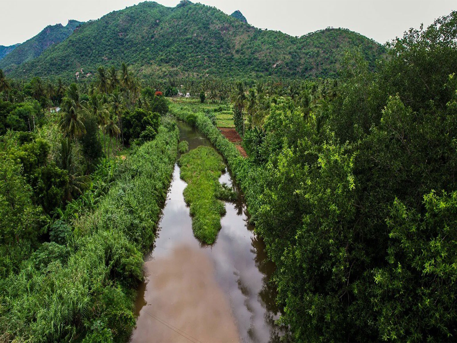 Innovative and scalable, The Art of Living's solutions are reviving rivers across the nation