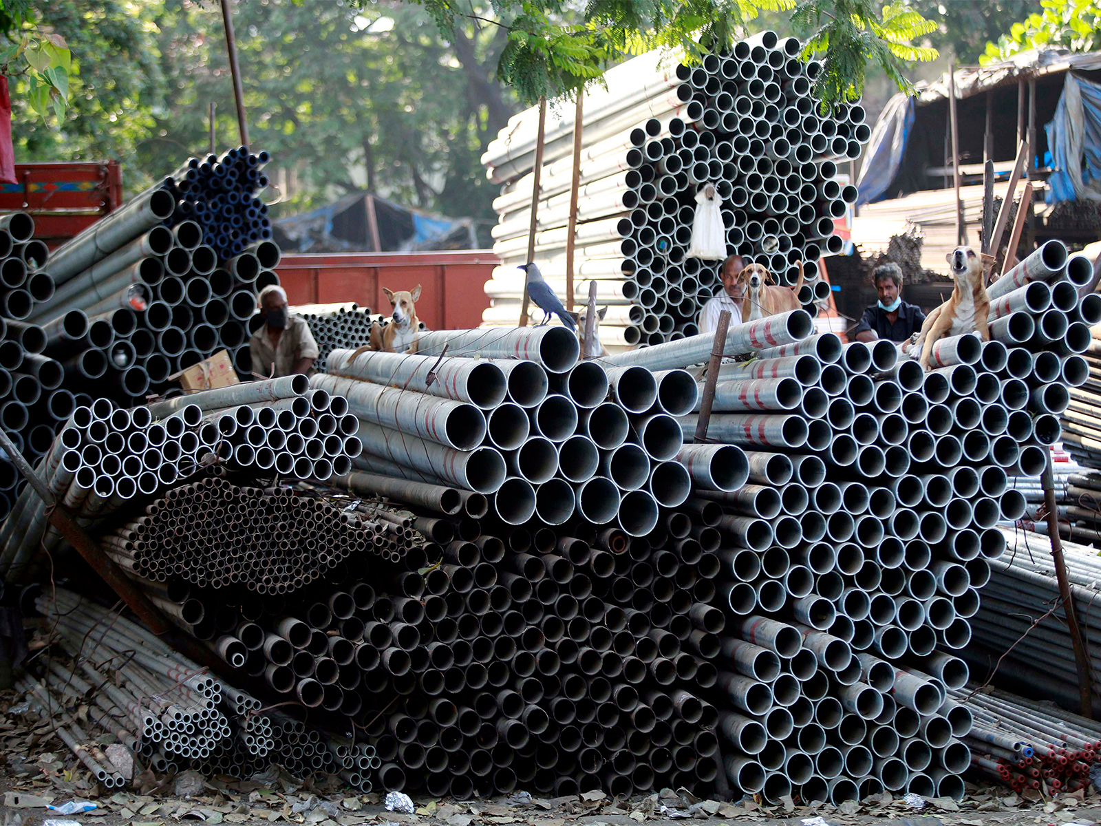 Representative Image (File Photo/ANI)
