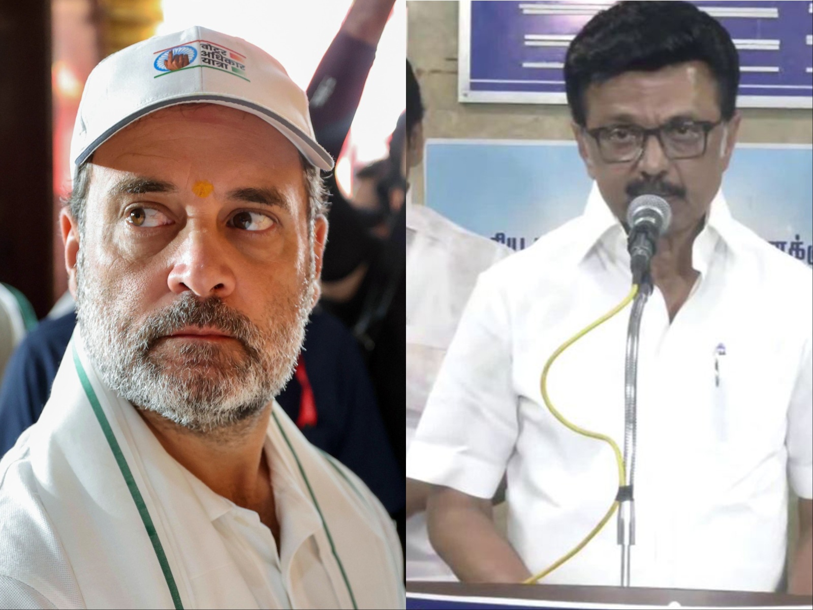 Congress leader Rahul Ganghi and Tamil Nadu CM MK Stalin (File Photos/ANI)