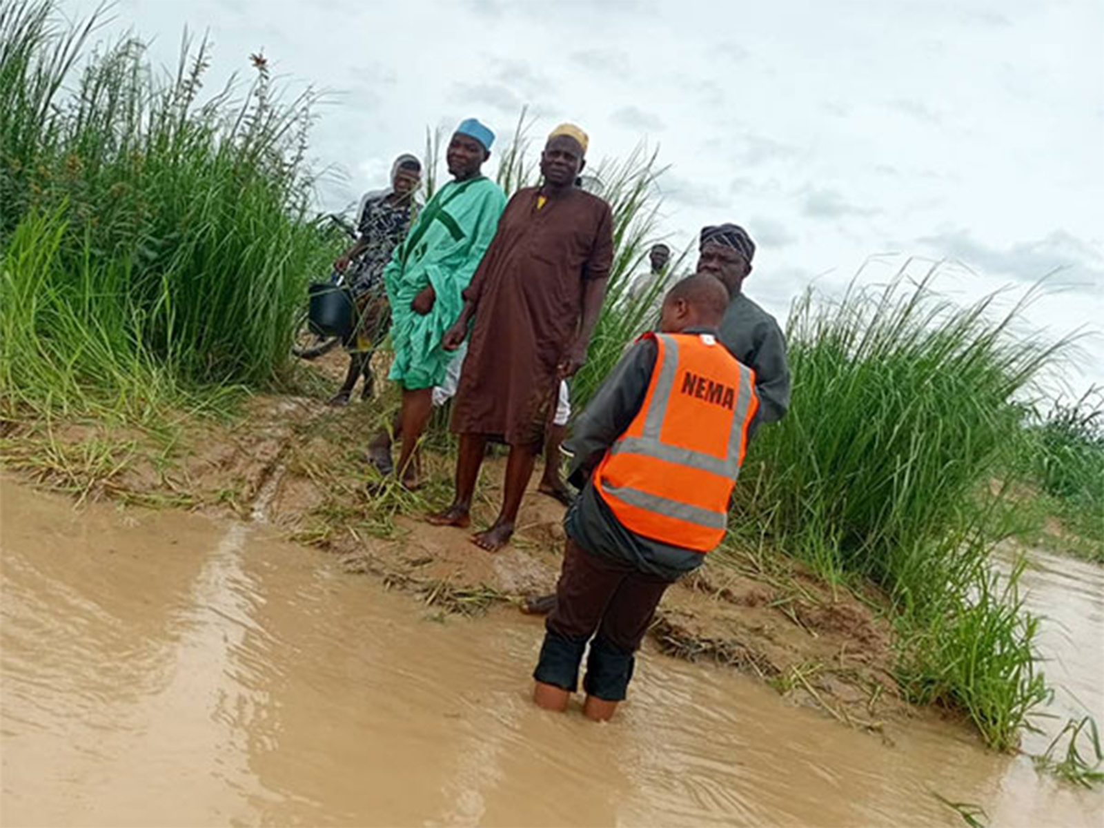 Representative Image (Image: X@nemanigeria)