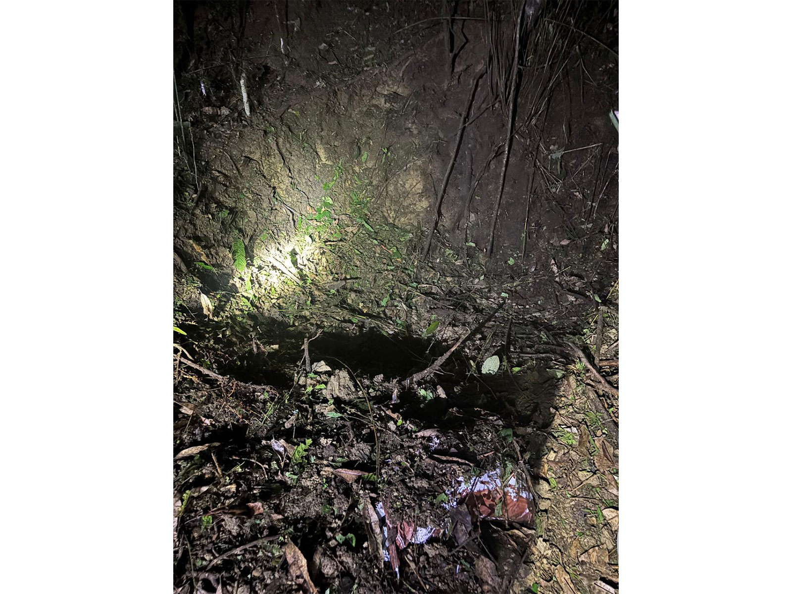 Manipur: Assam Rifles foil major bomb plot in Jiribam (Photo/Assam Rifles)