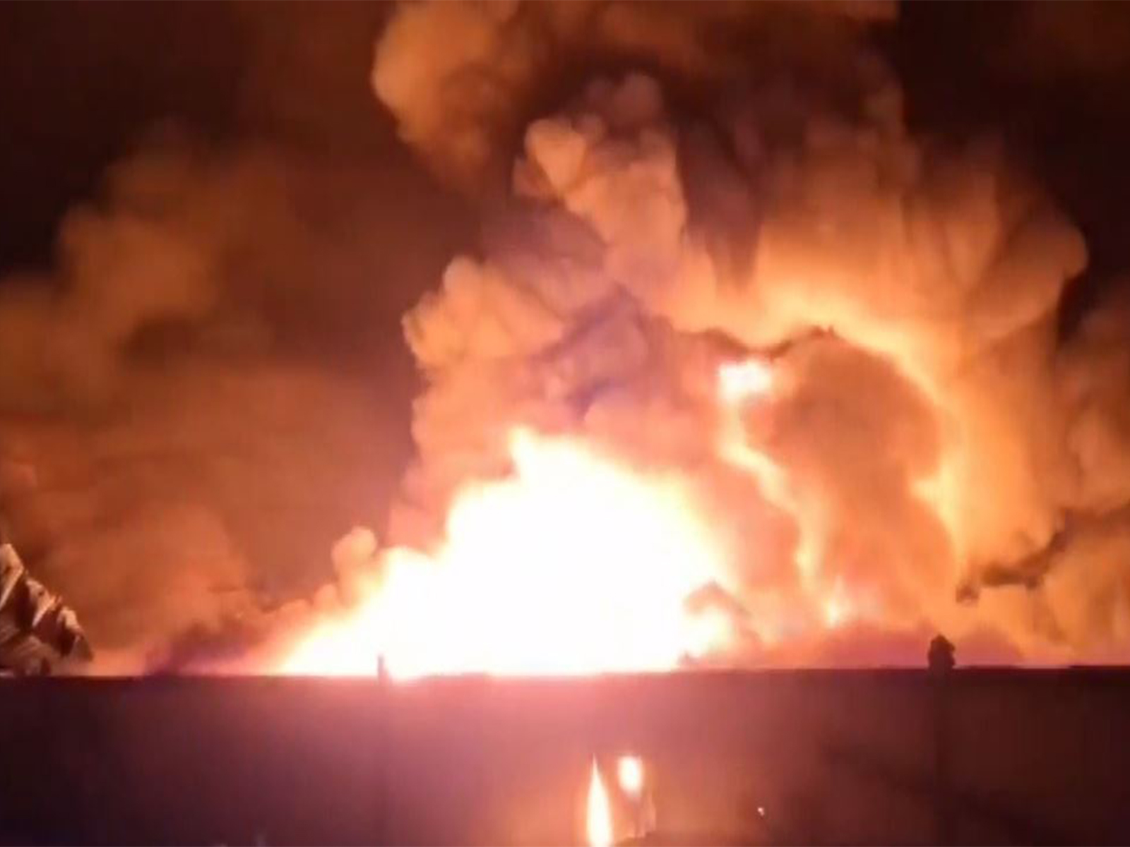 Still from the site (Photo/ANI)