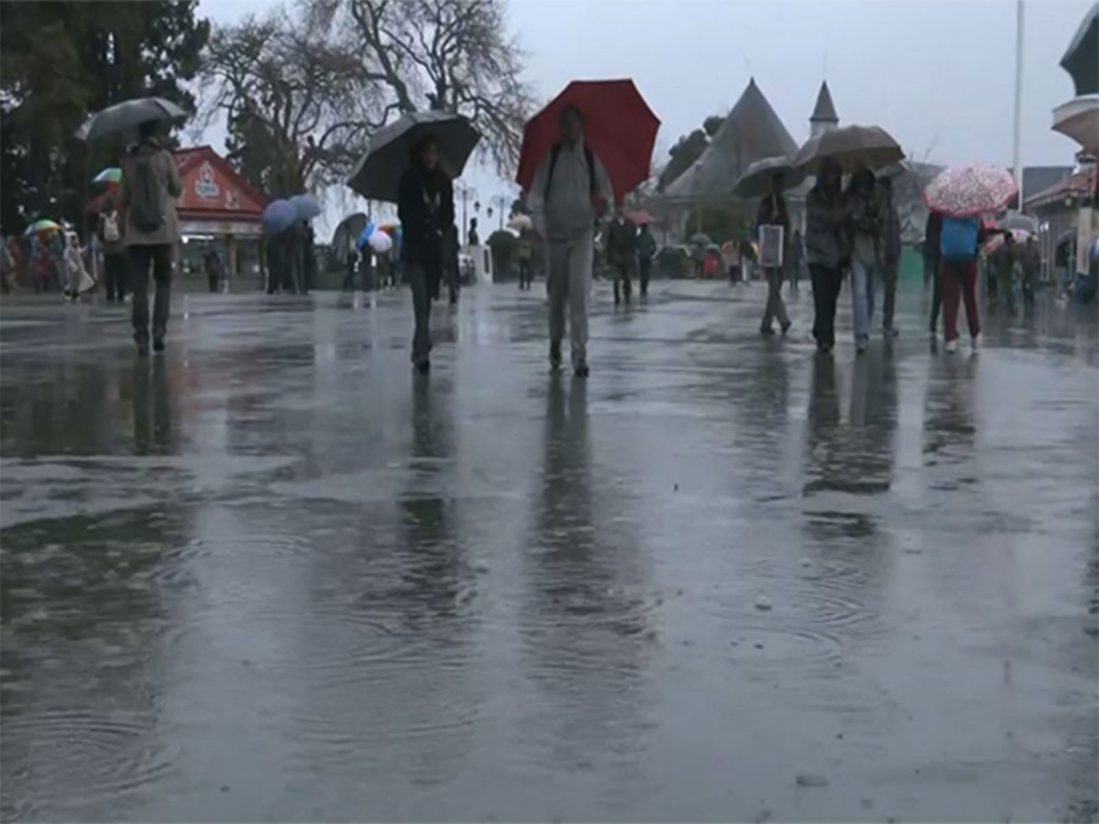 Rain lashes Shimla, tourists share mixed reactions to sudden weather change  (Photo/ANI)