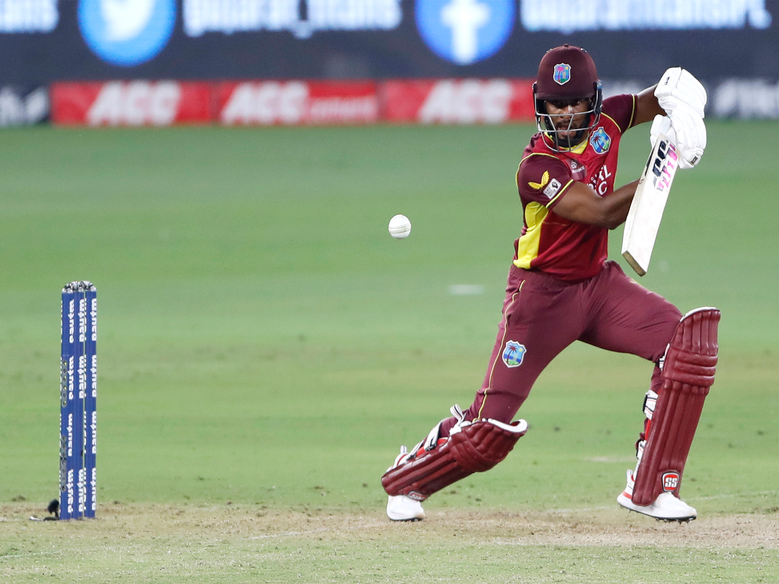 Shai Hope. (Photo: ANI)
