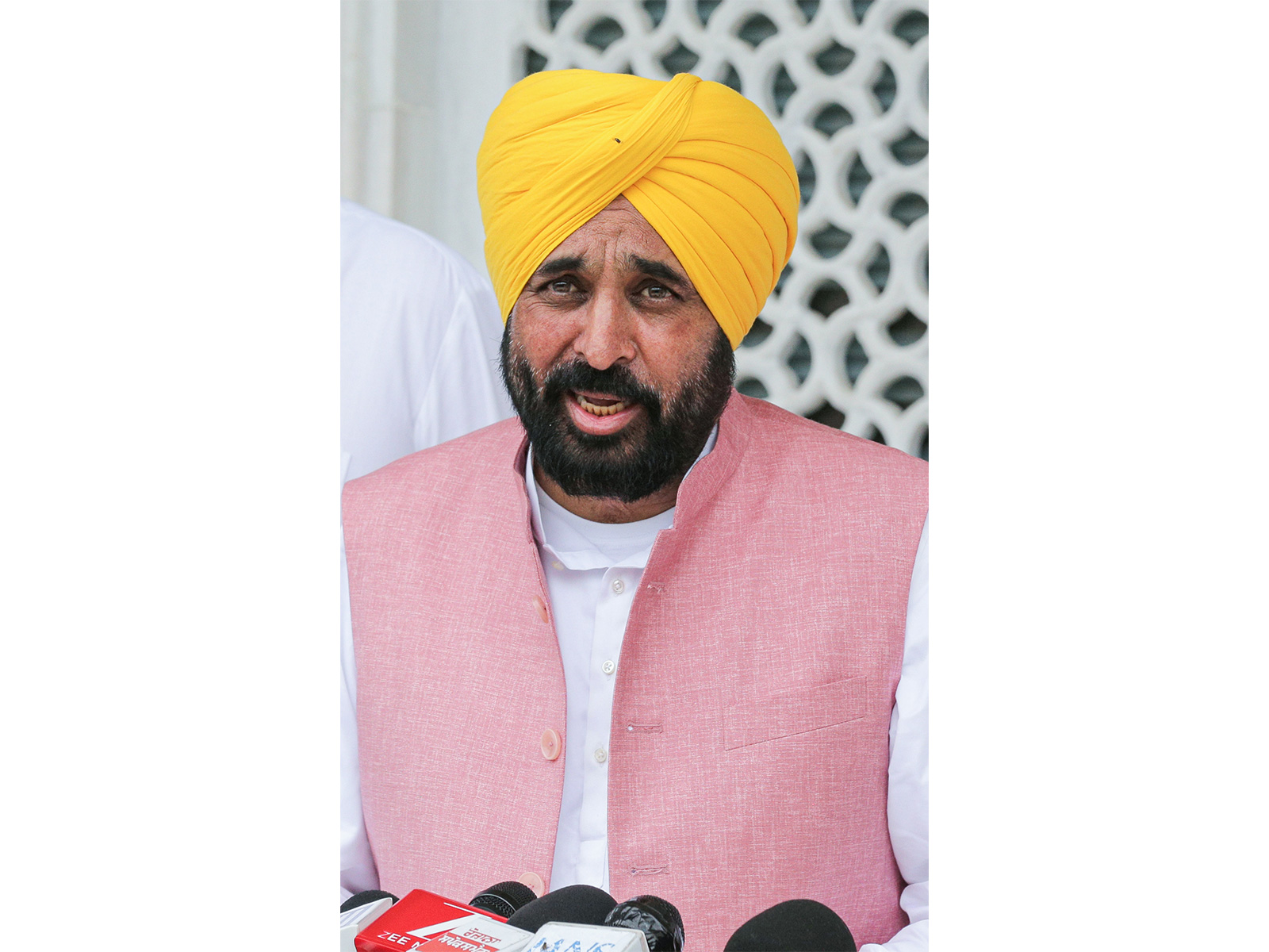 Punjab Chief Minister Bhagwant Mann (File Photo/ANI) 