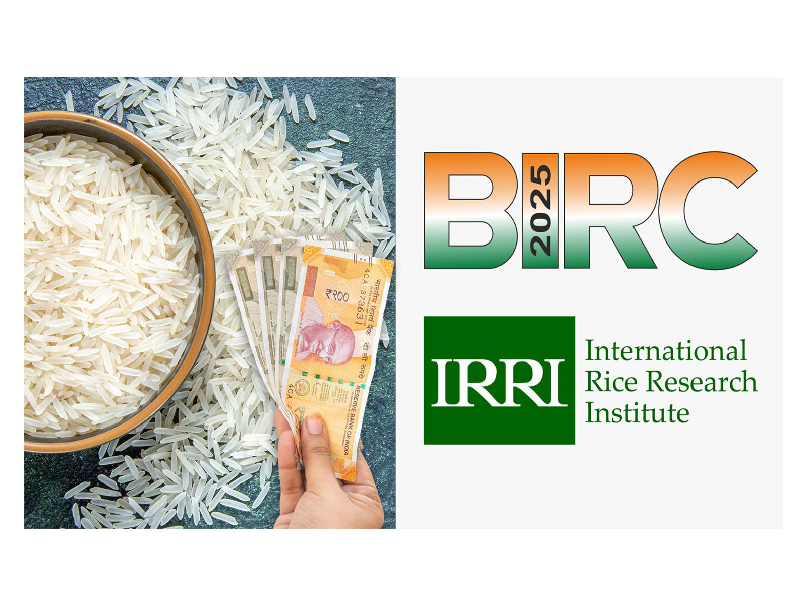 Bharat International Rice Conference 2025 (Photo: IREF) 