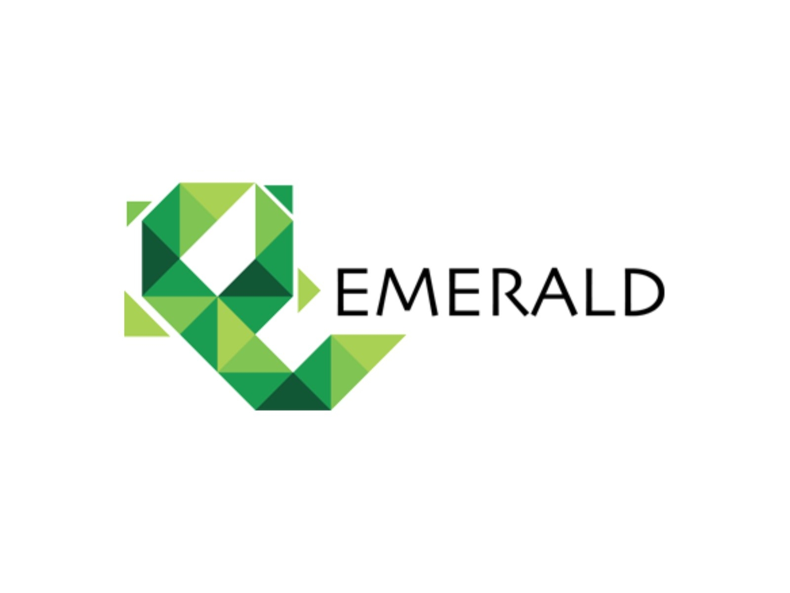 Emerald Finance's Net Profit Grows by 120 Percent YoY in H1 FY26