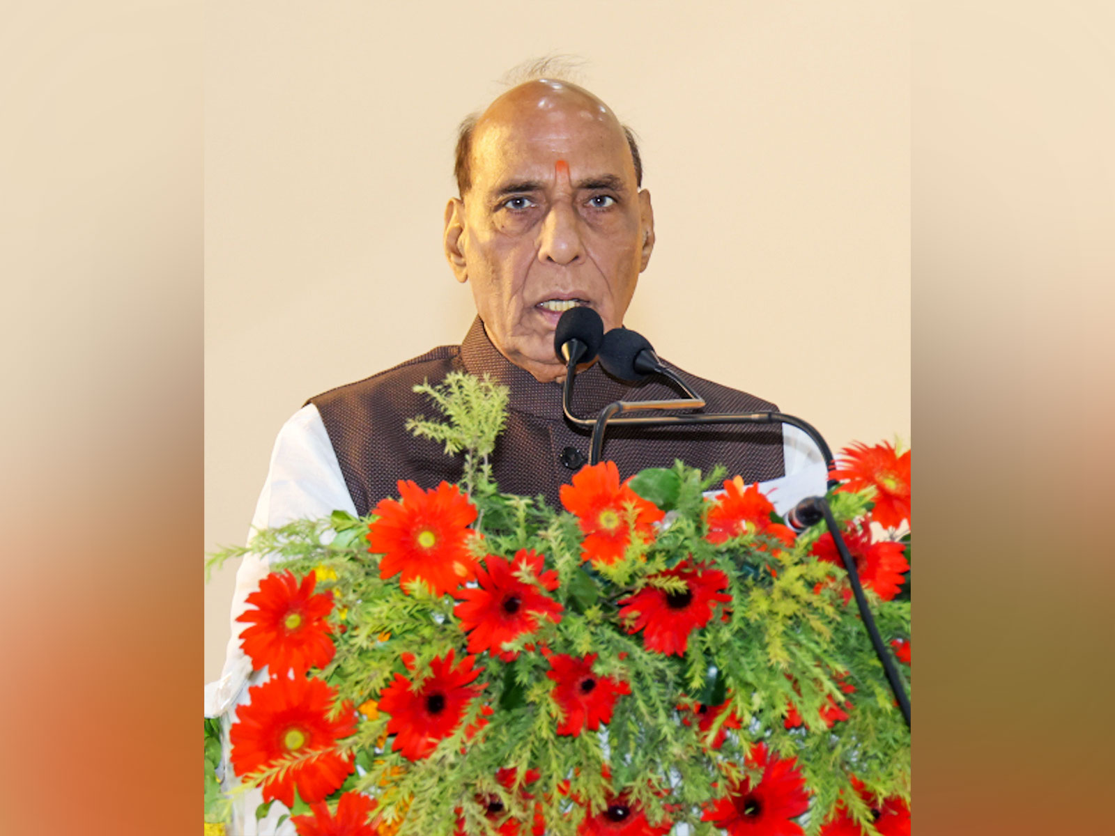 Defence Minister Rajnath Singh (Photo/ANI)