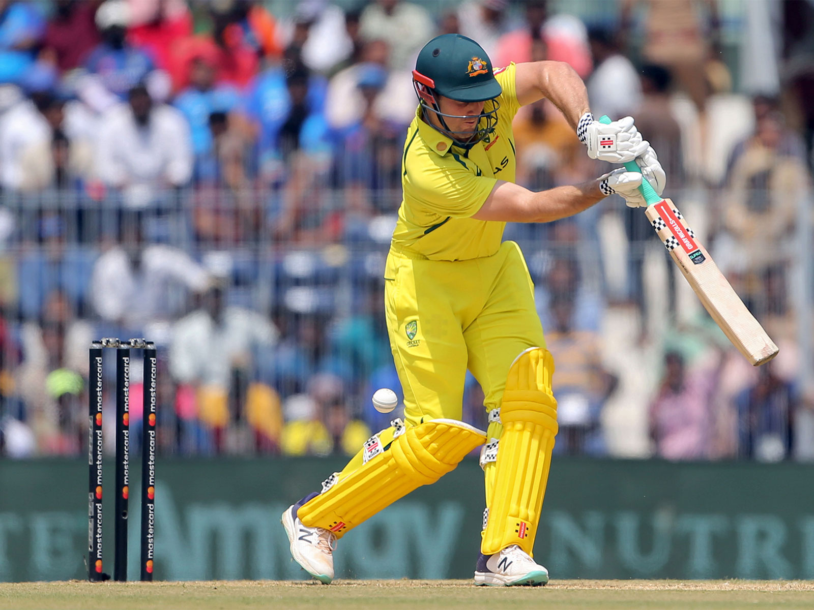 Mitchell Marsh (Photo/ANI)