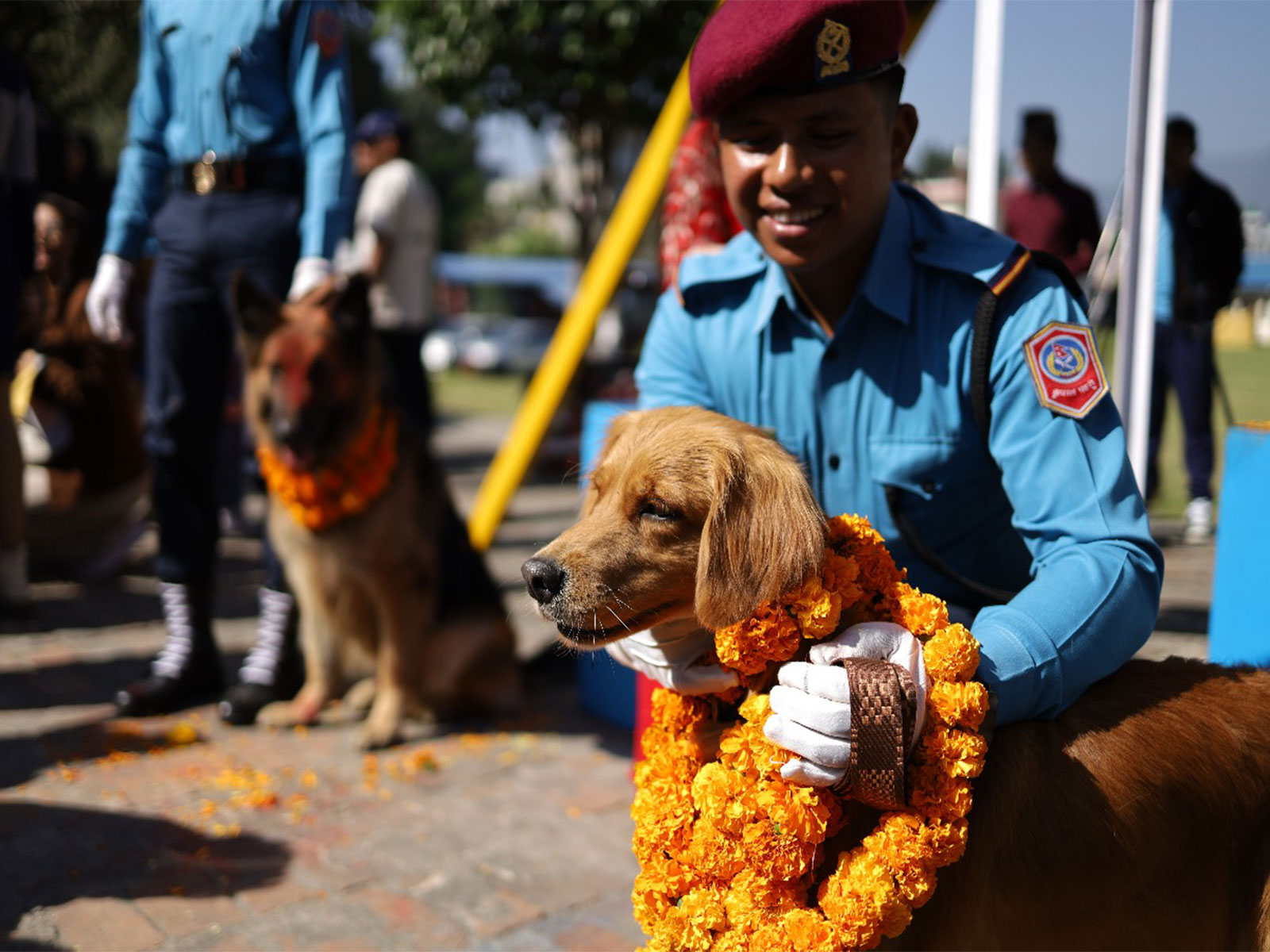 Nepal celebrates Kukur Tihar festival (Photo/ANI)