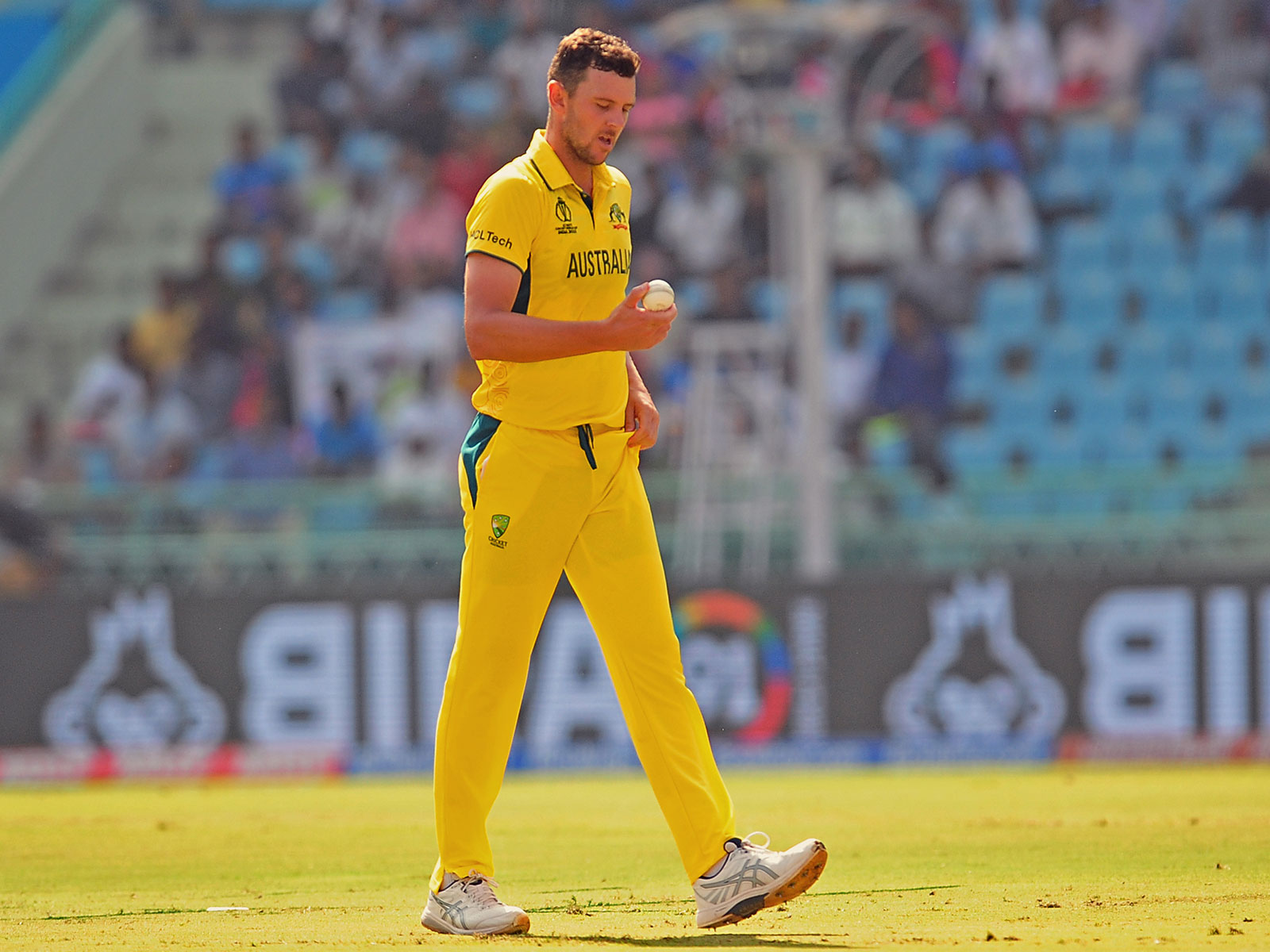 Josh Hazlewood (Photo/ANI)