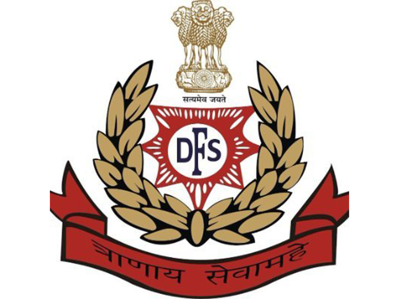 Delhi Fire Services (File Photo/X/@DelFireService)