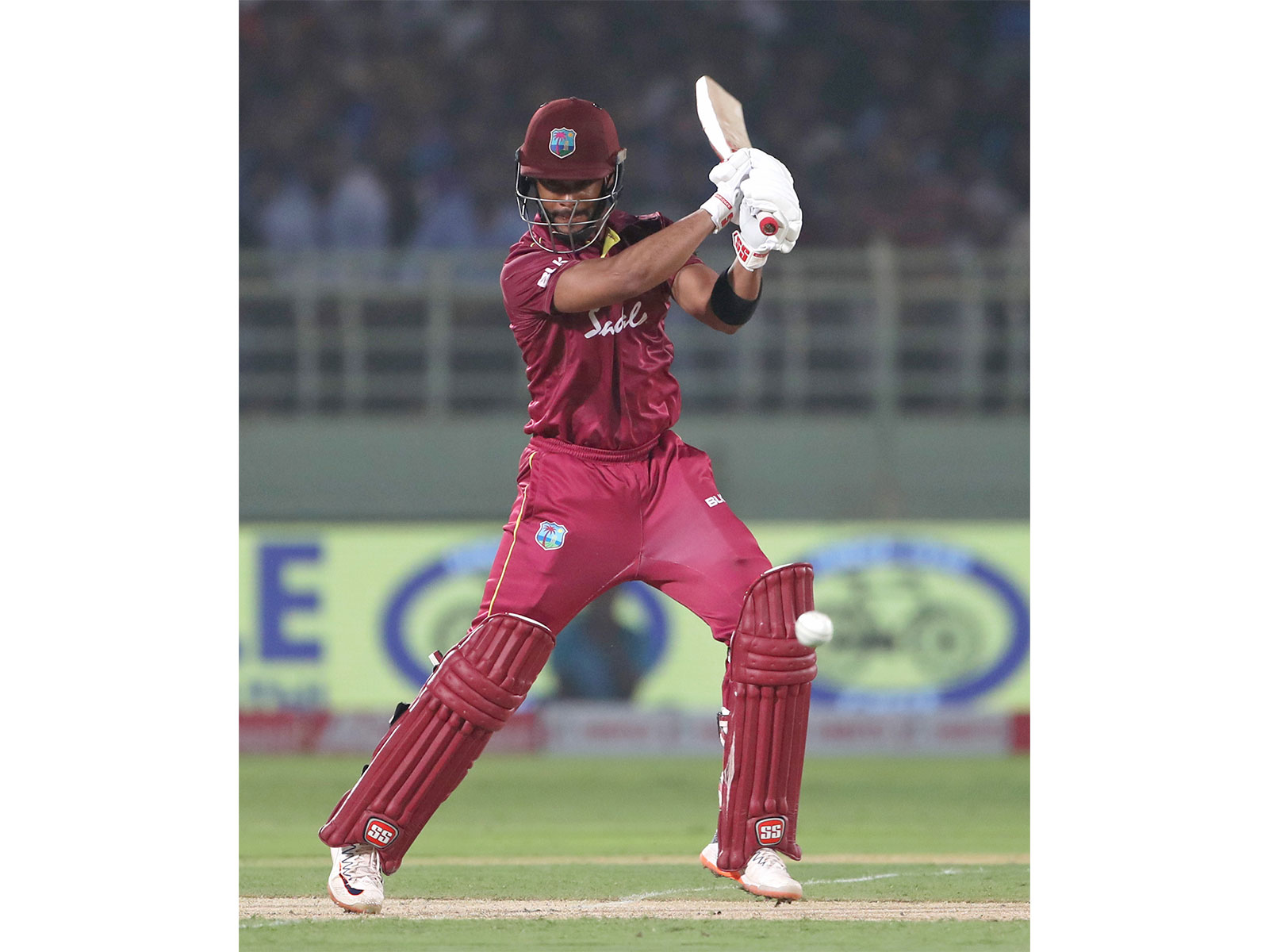 Shai Hope. (Photo: ANI)
