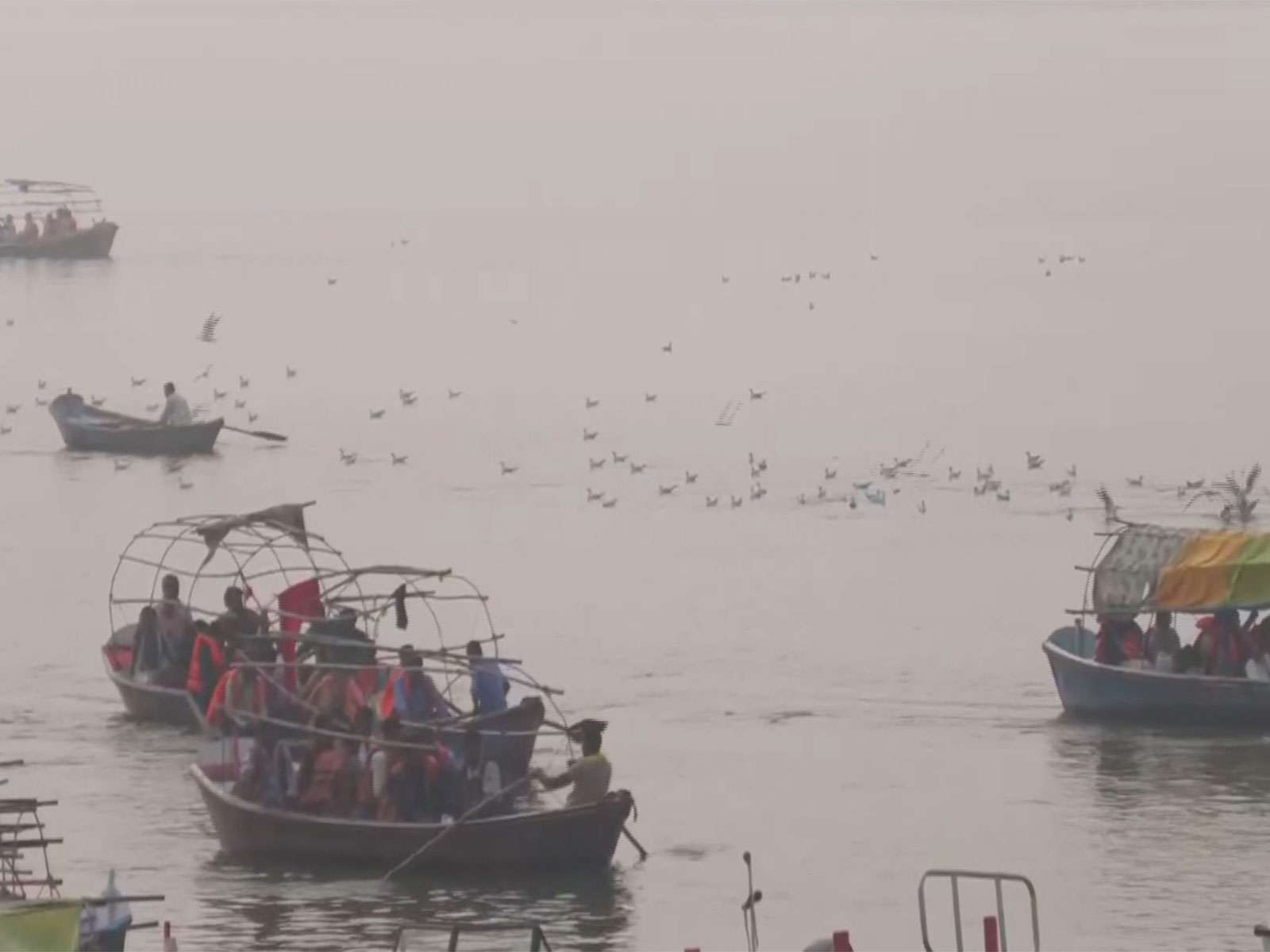Siberian birds arrive at Prayagraj Sangam (Photo/ANI)
