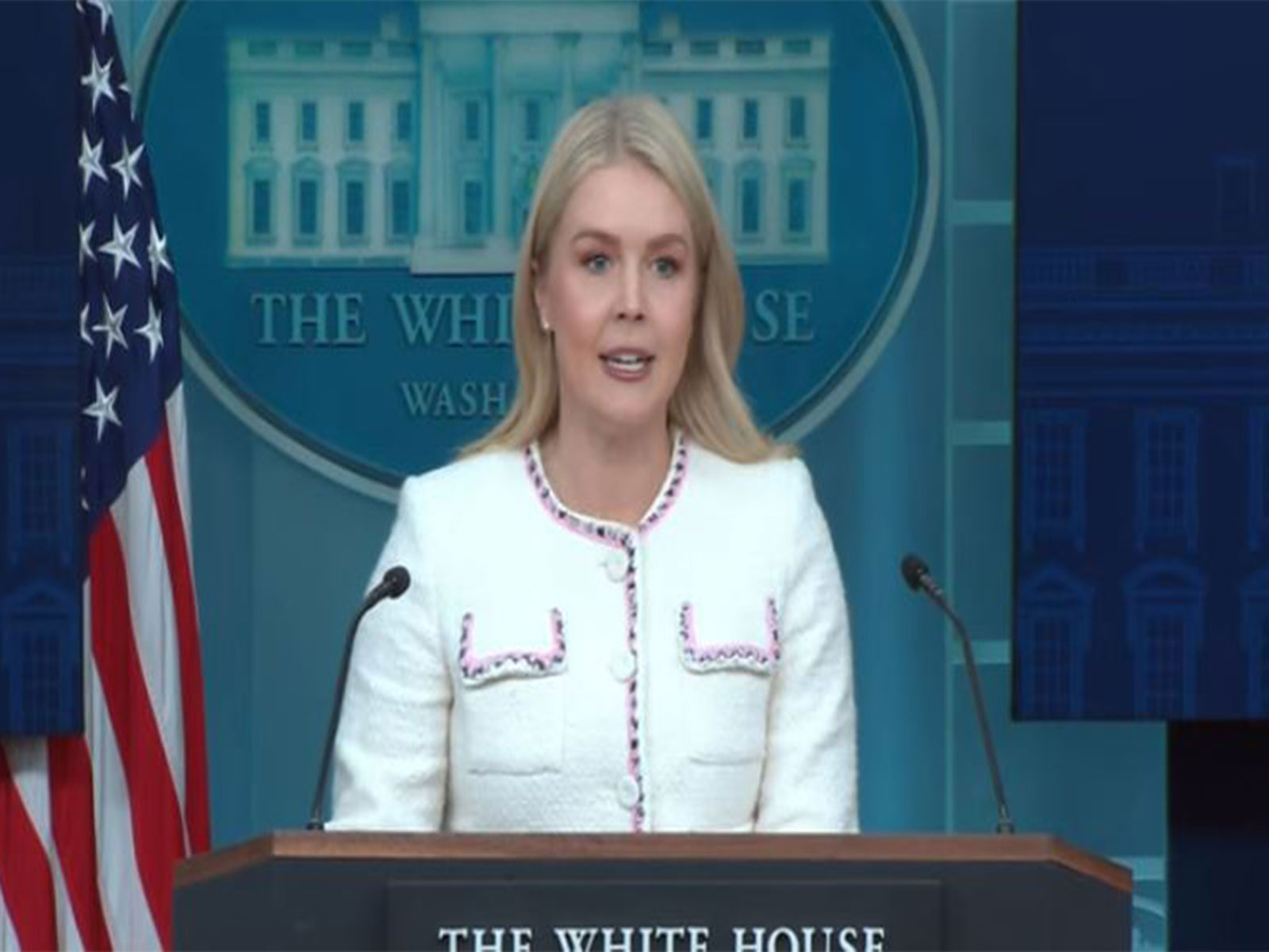  White House Press Secretary Karoline Leavitt (Photo/Youtube: White House)
