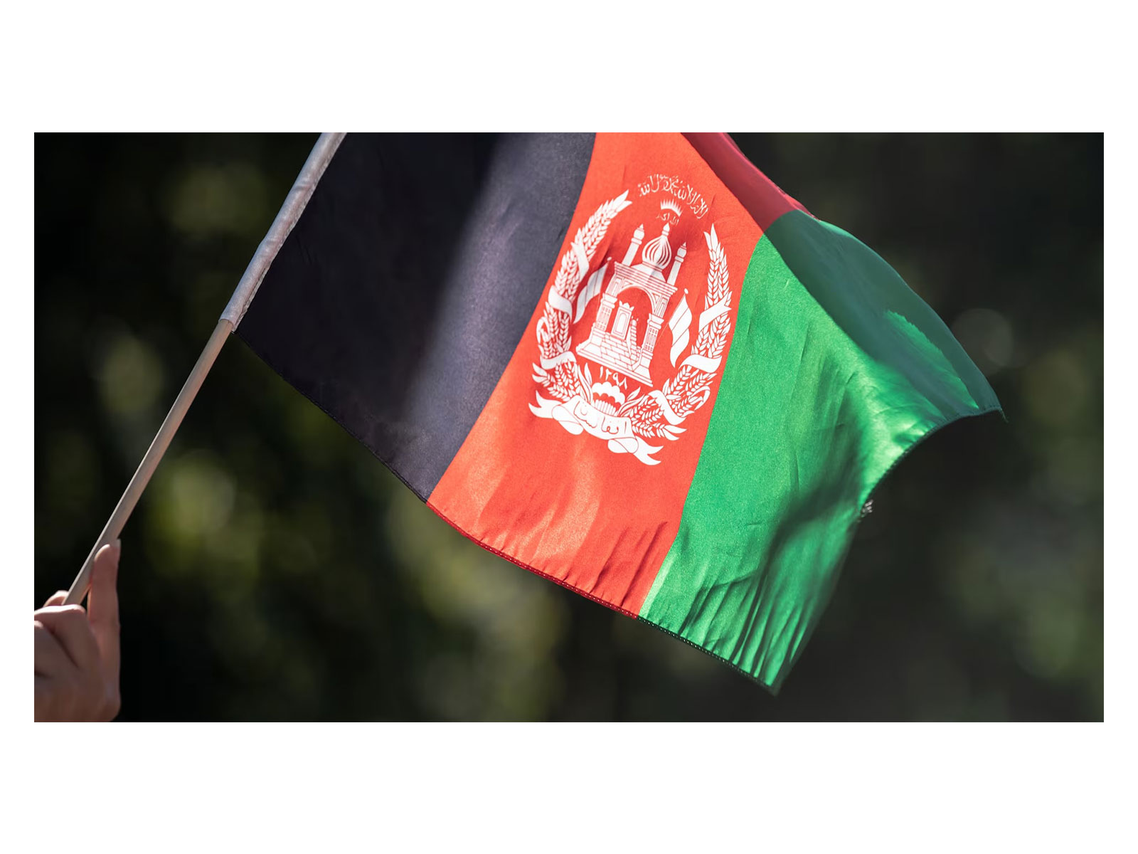Representative Image (Photo/Reuters)