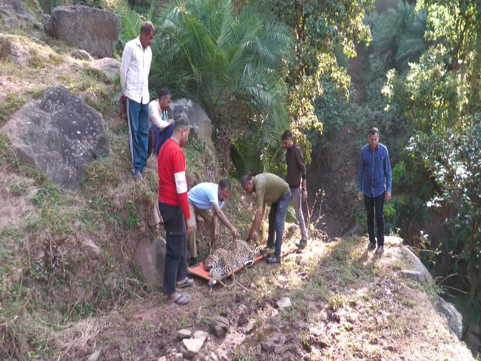 Visuals from the spot (Photo/ANI)