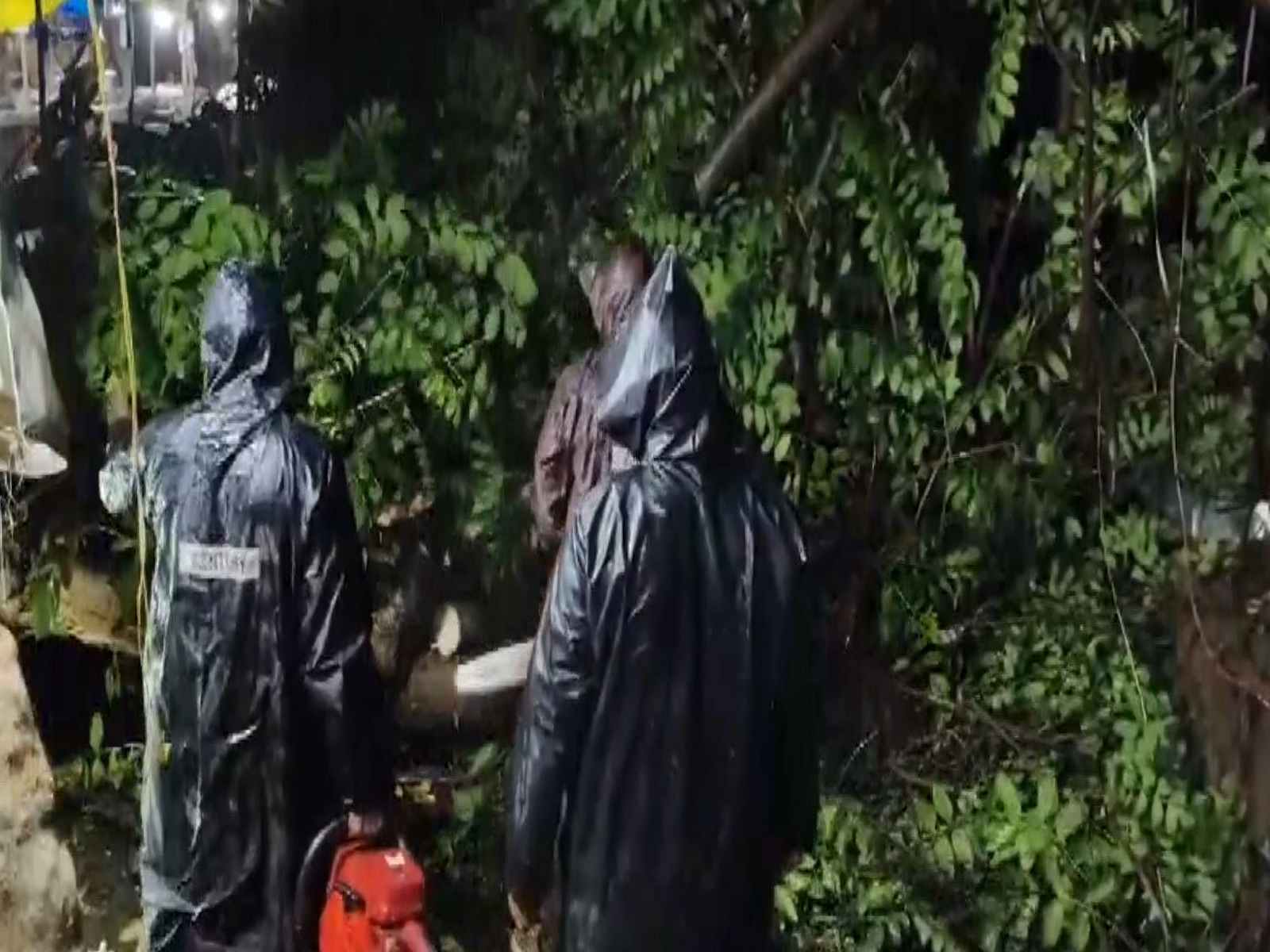 Police teams clear a fallen tree in Guntur (Photo/ANI)