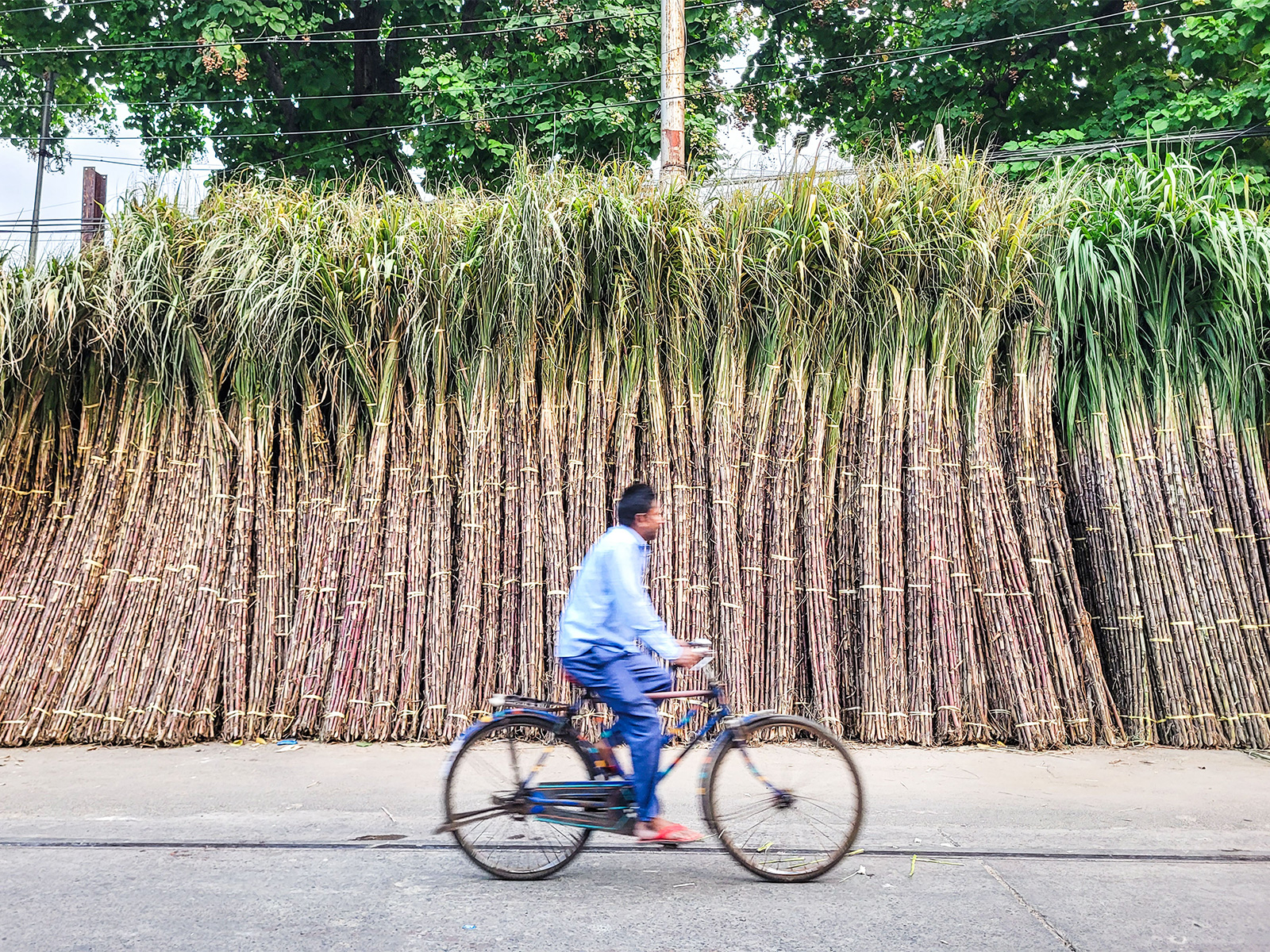 Representative Image (File Photo/ANI)