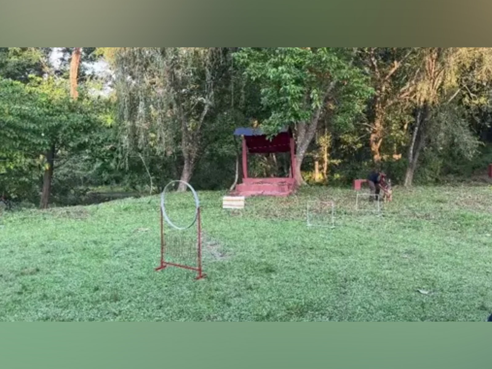 Visuals from the workshop (Photo/ANI)