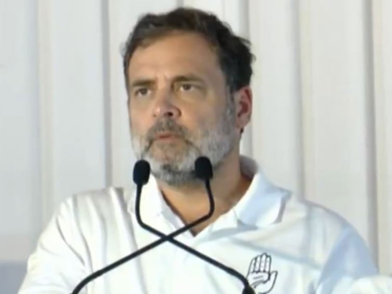 Congress MP Rahul Gandhi (Photo/ANI)