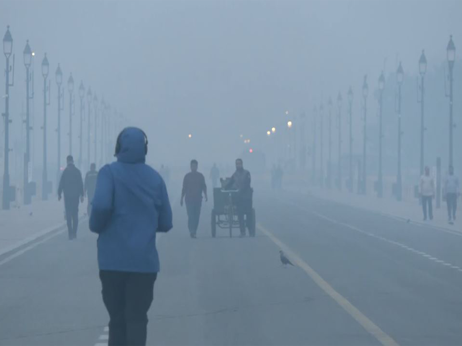 Visuals from Kartavya Path (Photo/ANI) 