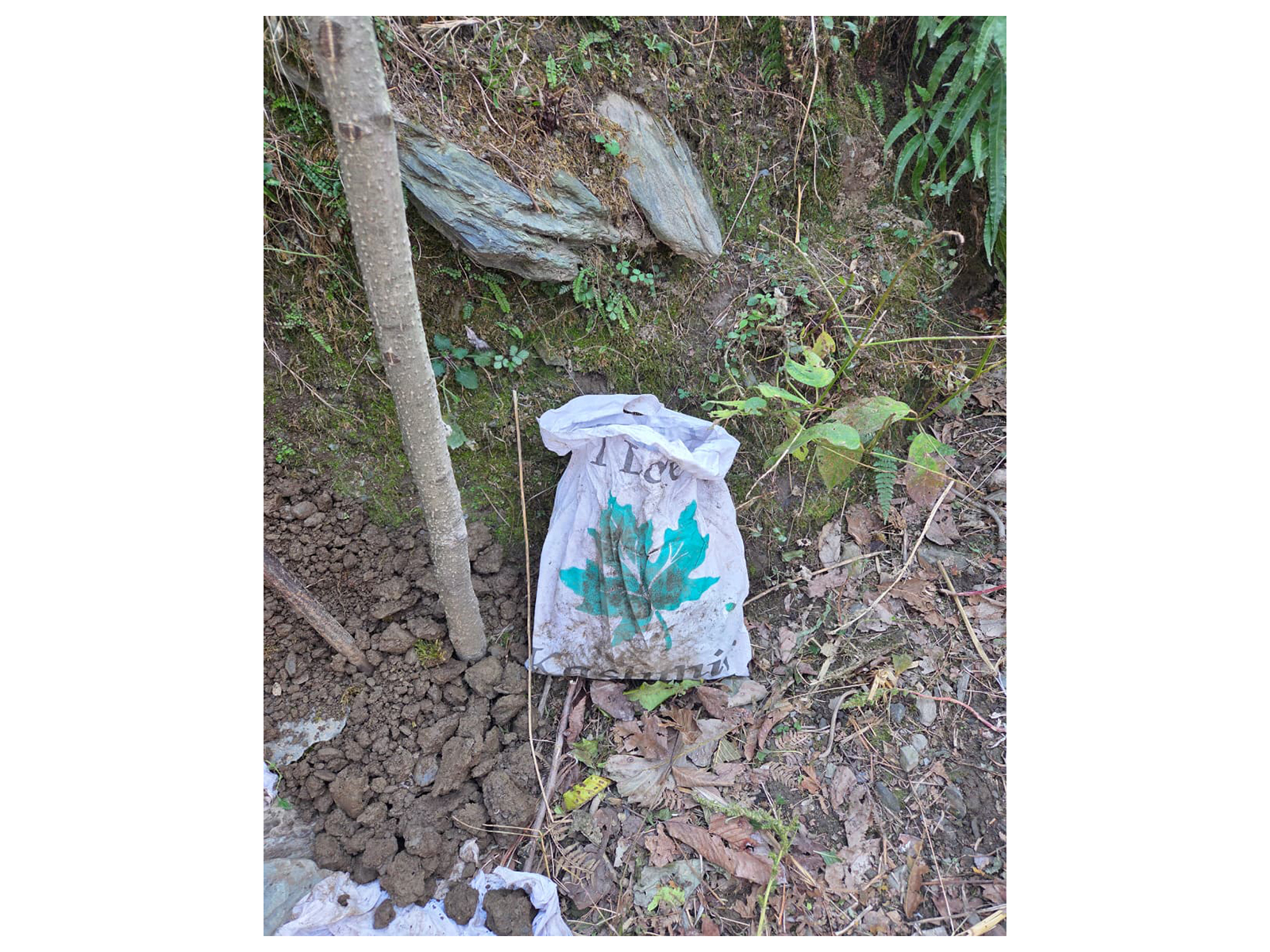 Suspected contraband confiscated during Operation Hajitra (Photo/ANI)