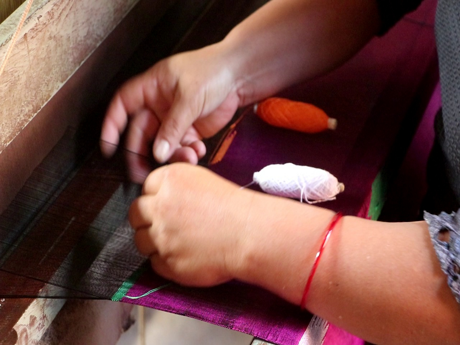 Legacy of Palpali Dhaka (Photo/ANI)