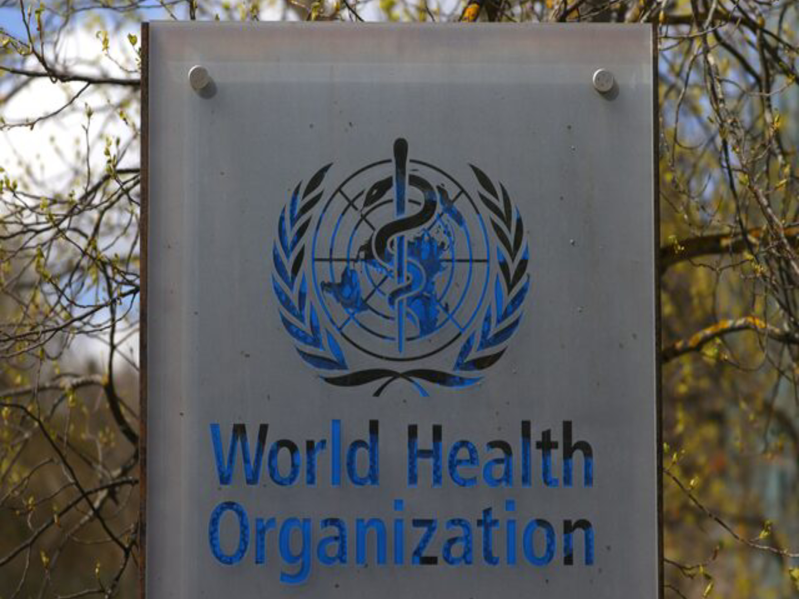 World Health Organization (File Photo/Reuters)