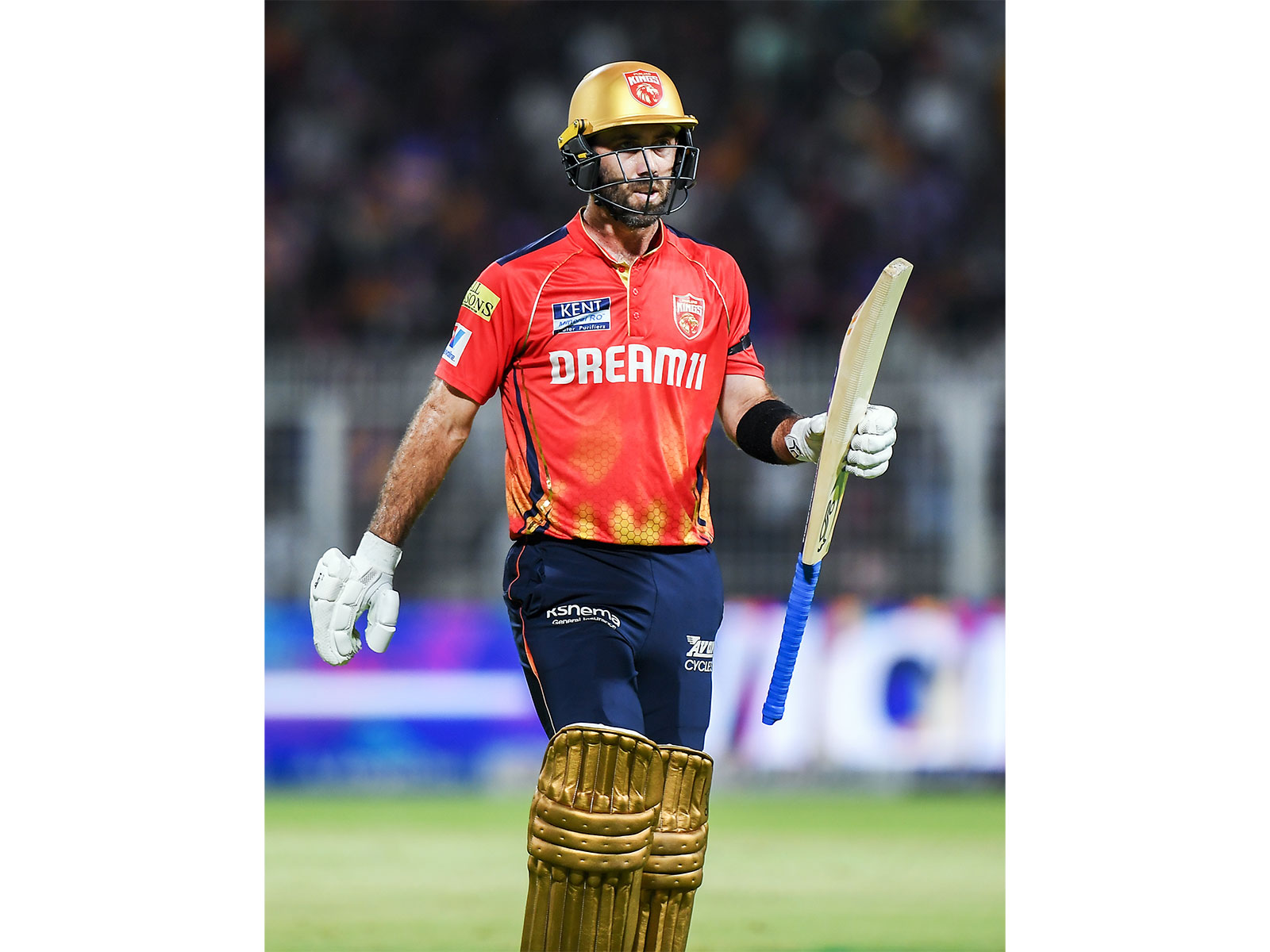 Glenn Maxwell (Photo/ANI) 